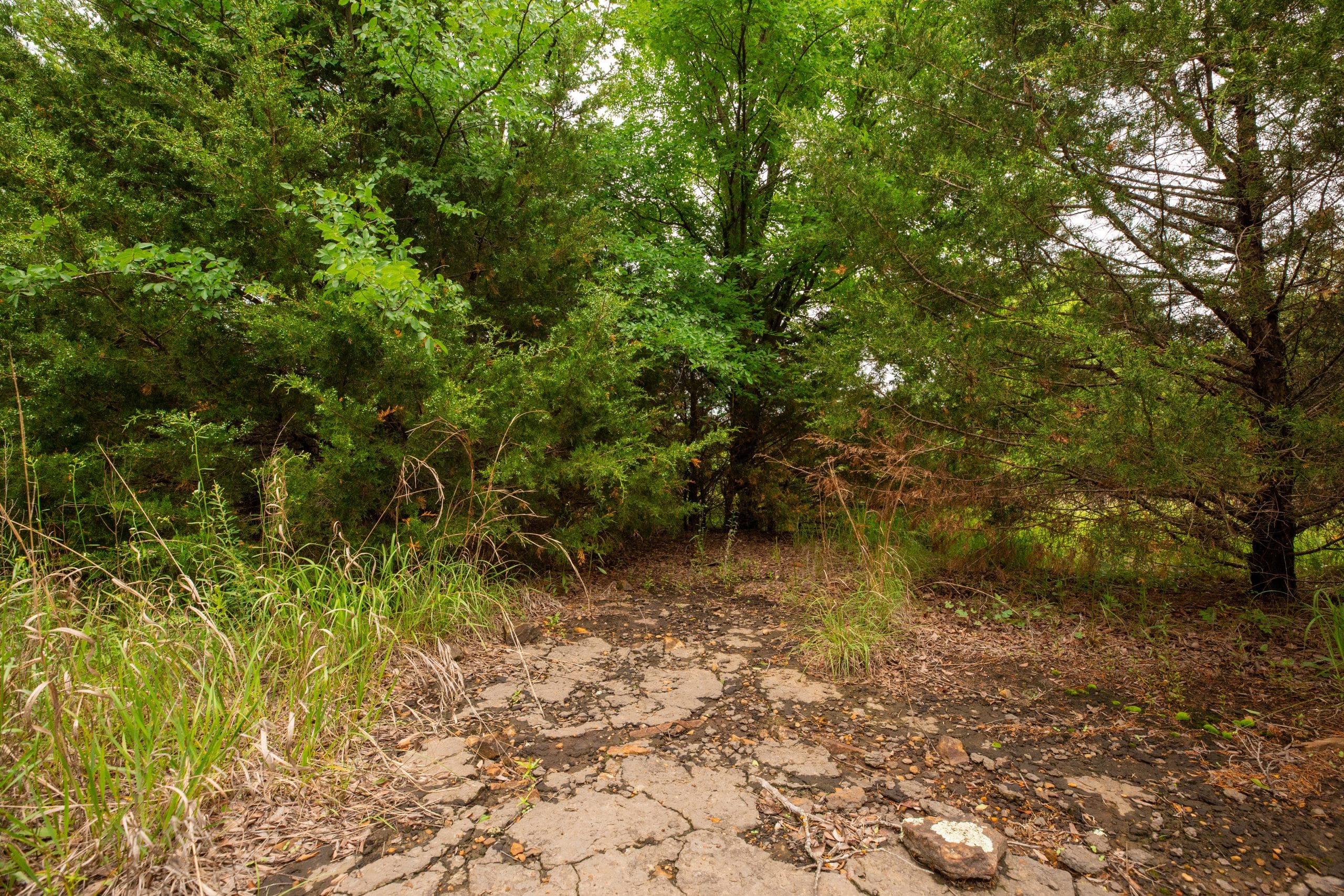 Prairie Grove Tract 11 photo 4
