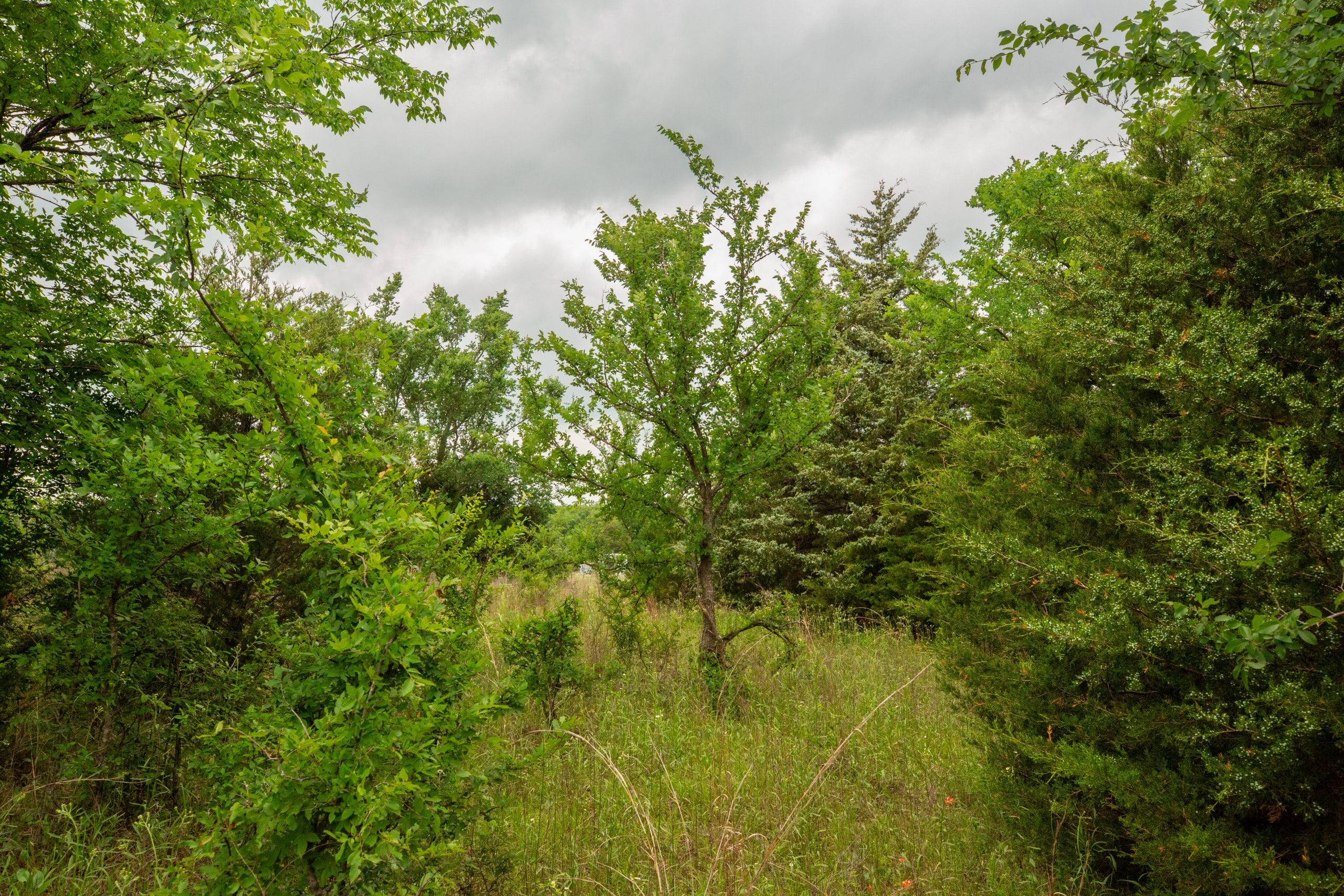 Prairie Grove Tract 11 photo 1