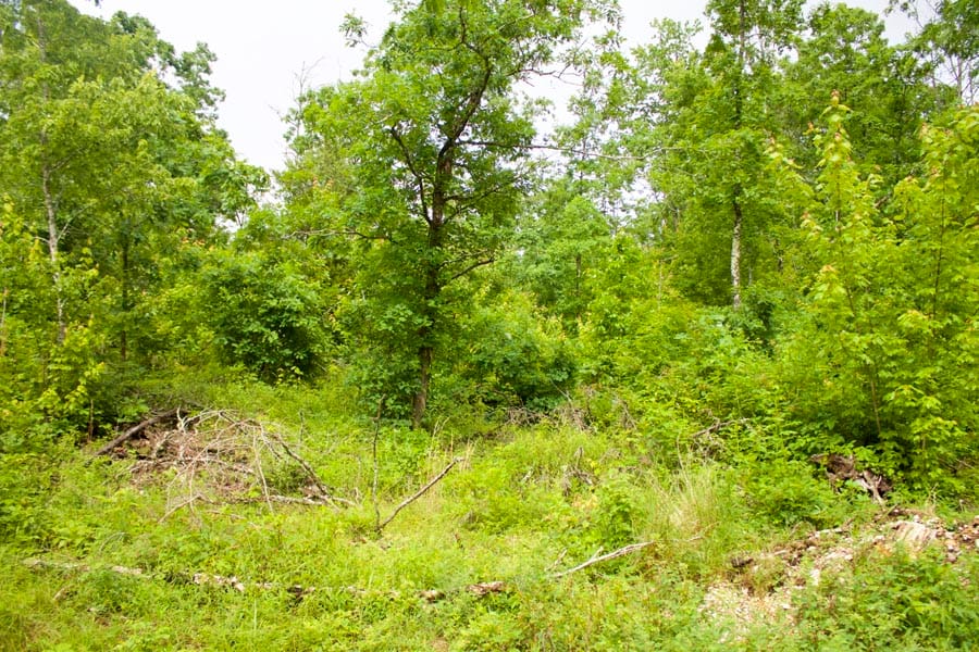 Thunder Mountain Ranch Tract 45 photo 5