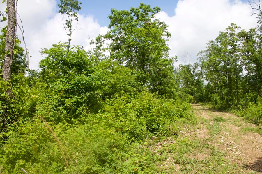 Thunder Mountain Ranch Tract 8 photo 1