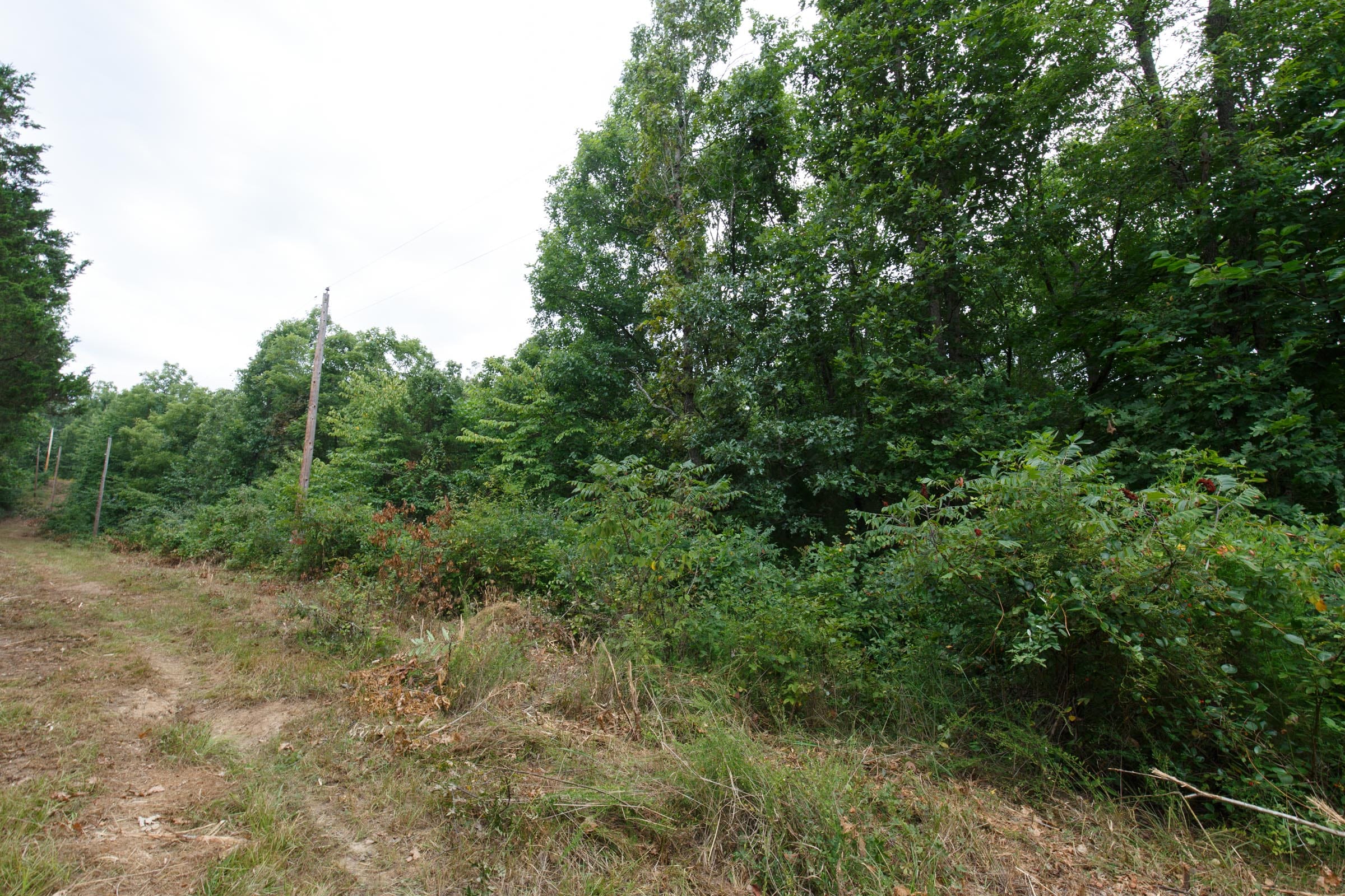 Spring Lake Plat 3 Tract 12 photo 5