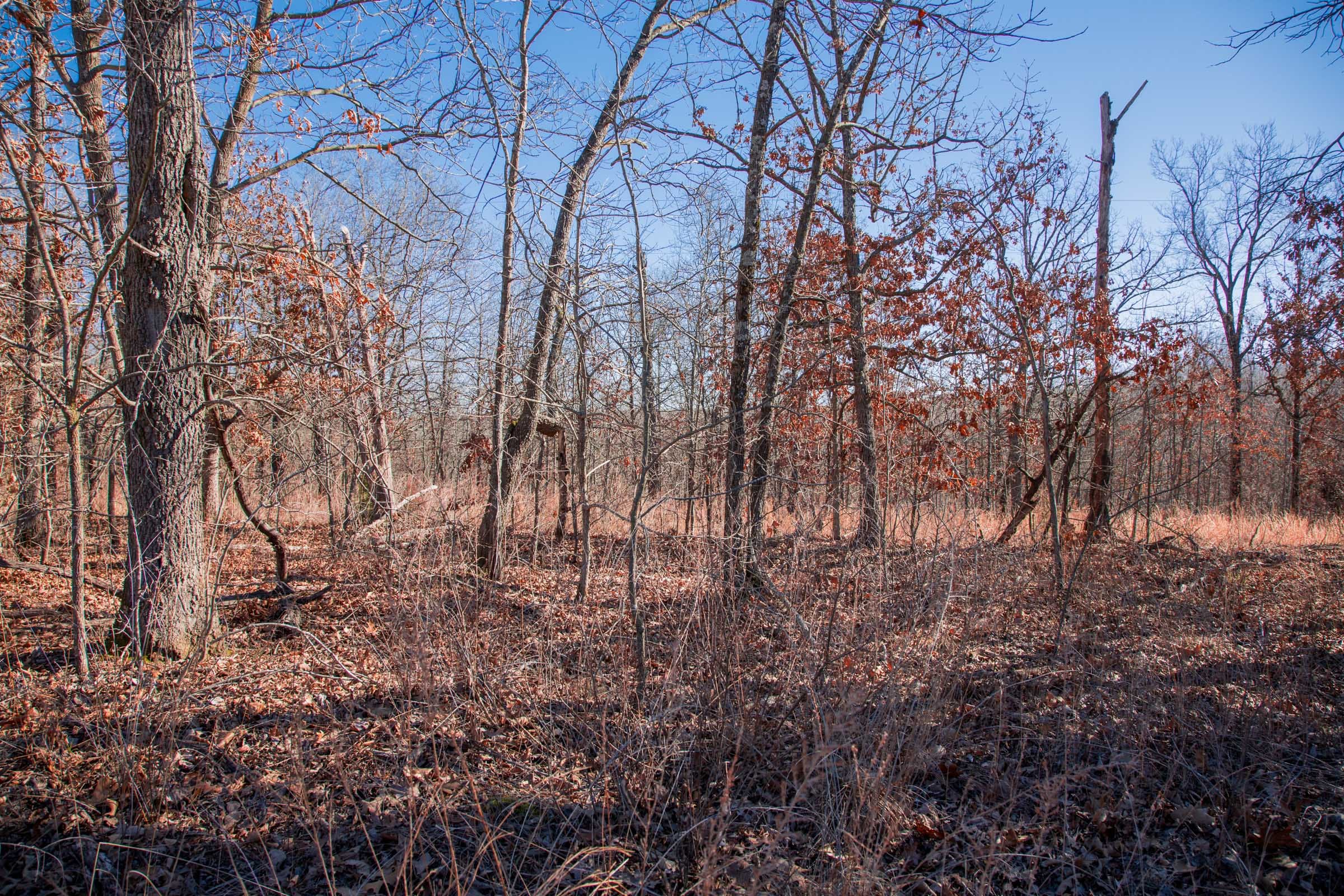 Buffalo Hills Tract 8 photo 2
