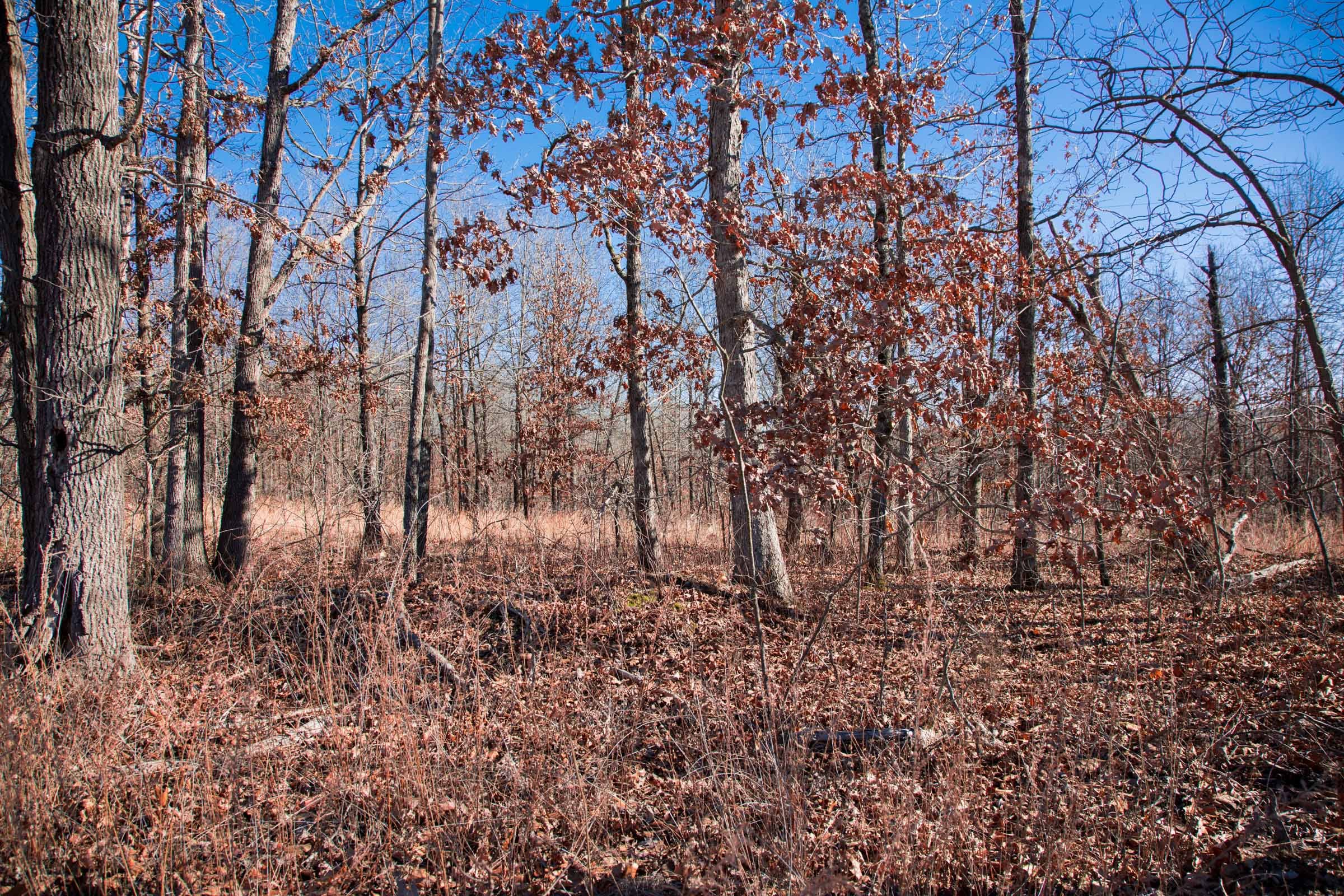 Buffalo Hills Tract 8 photo 3