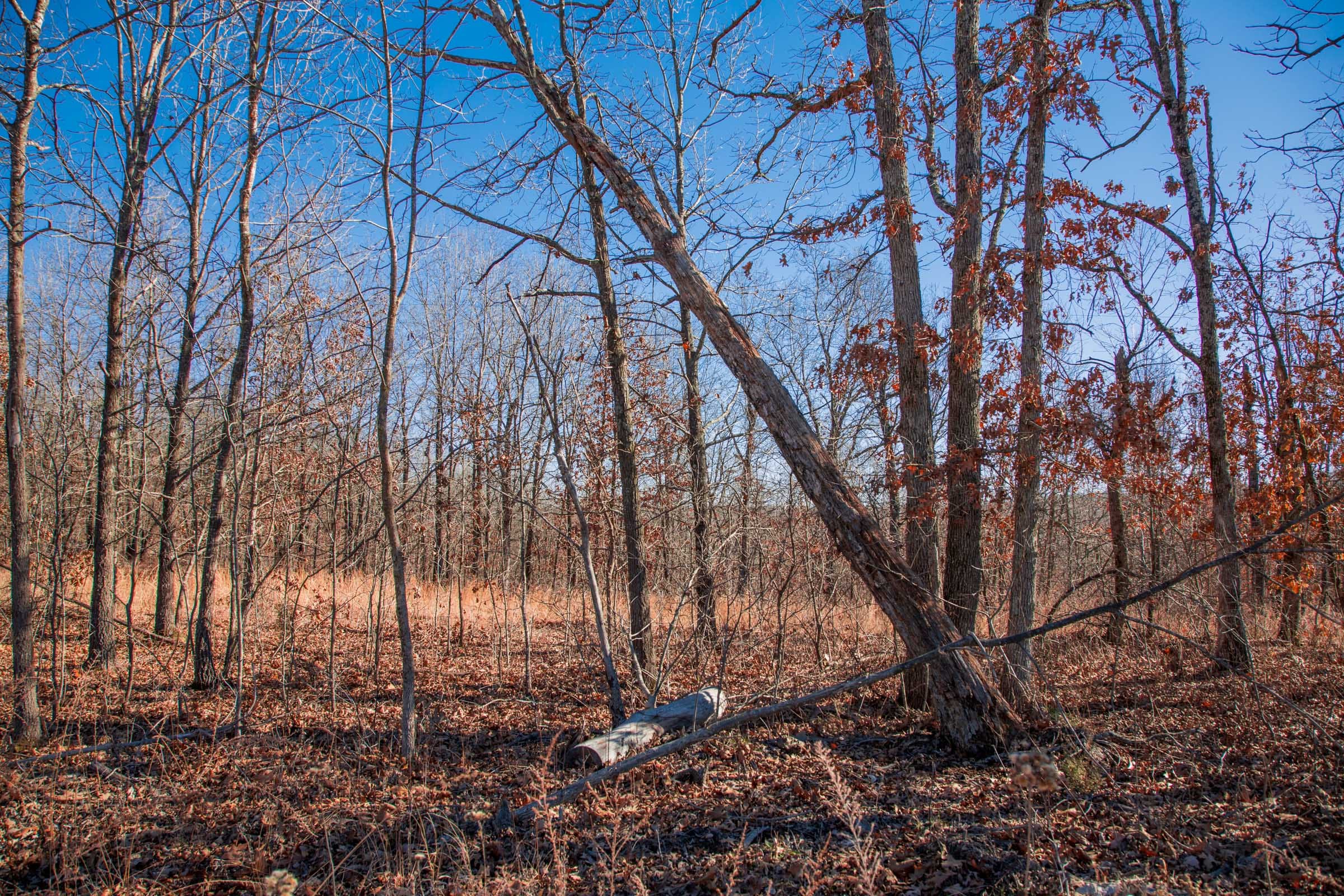 Buffalo Hills Tract 8 photo 4