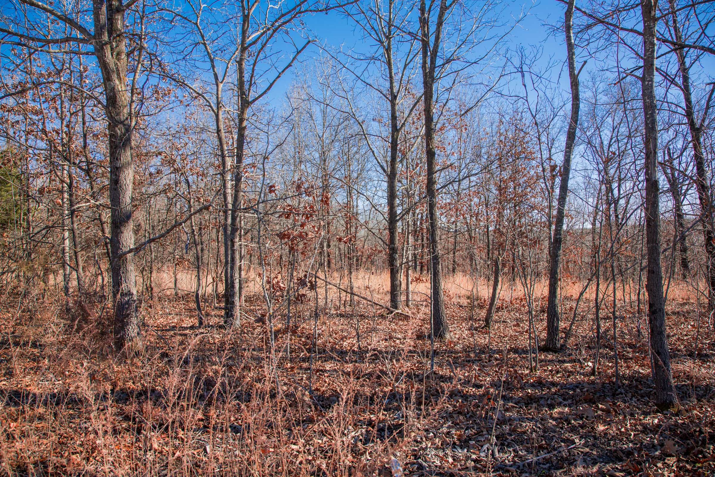 Buffalo Hills Tract 8 photo 5