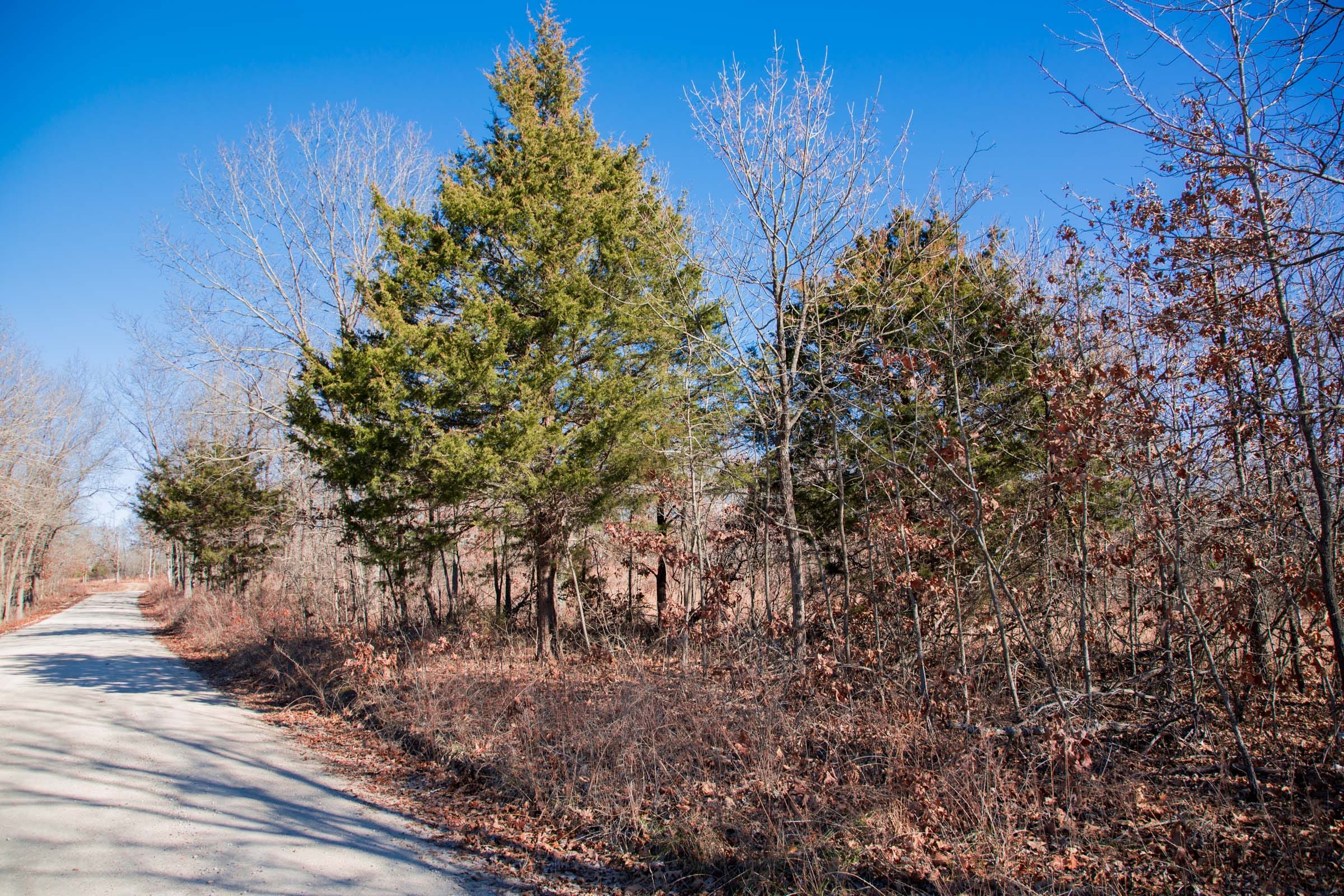 Buffalo Hills Tract 8 photo 6