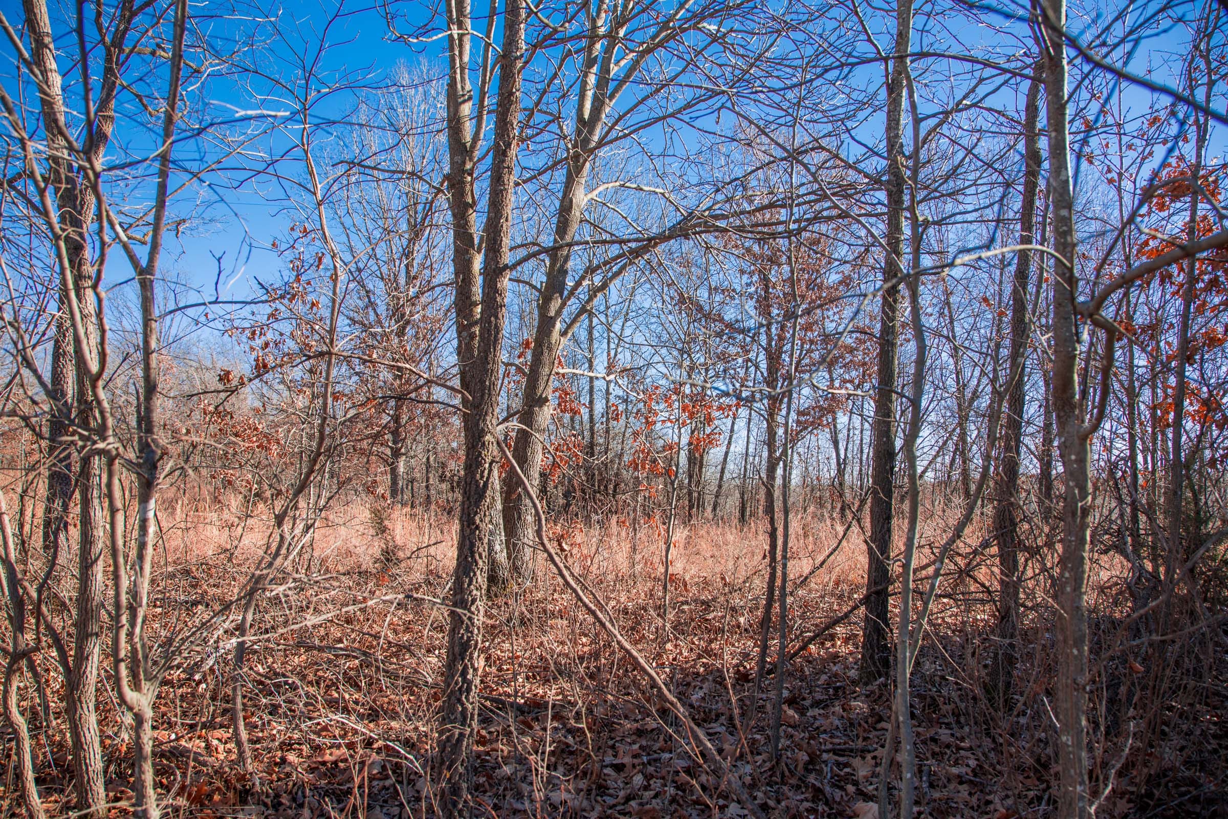 Buffalo Hills Tract 8 photo 8