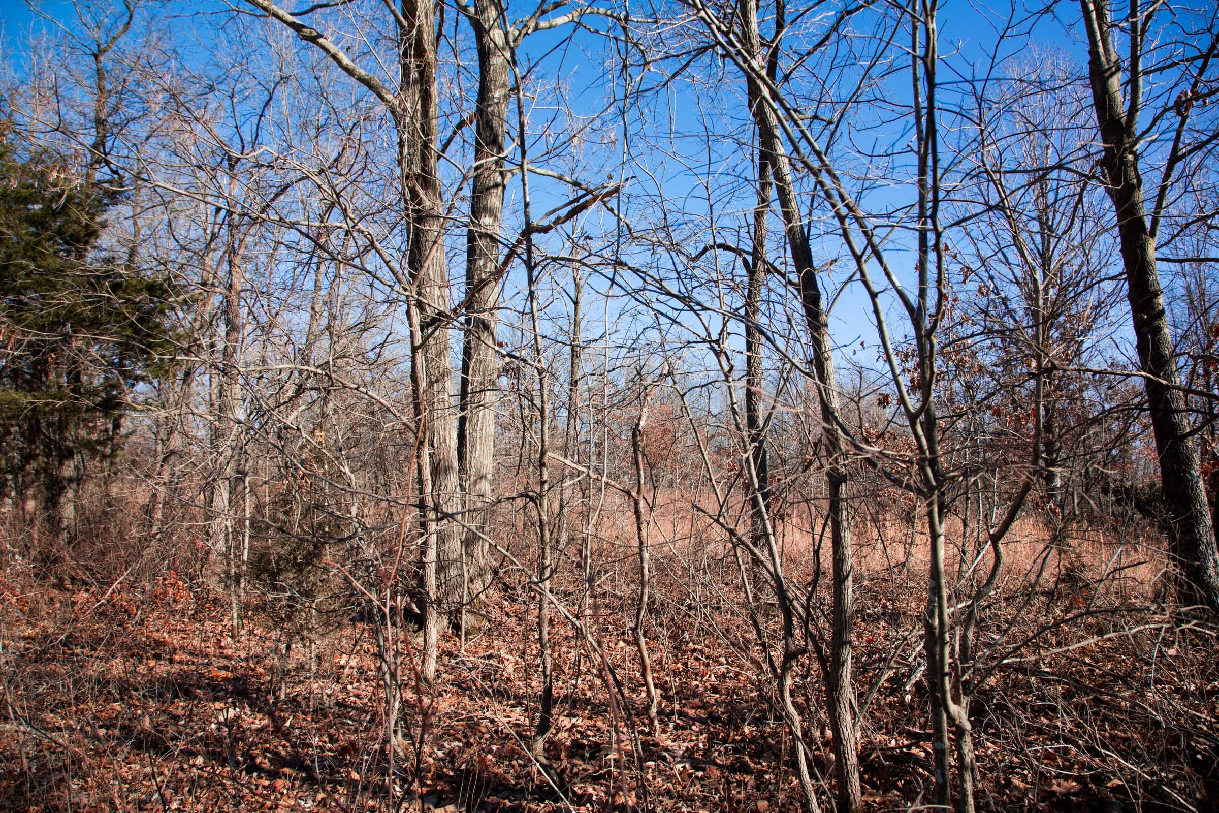 Buffalo Hills Tract 8 photo 9