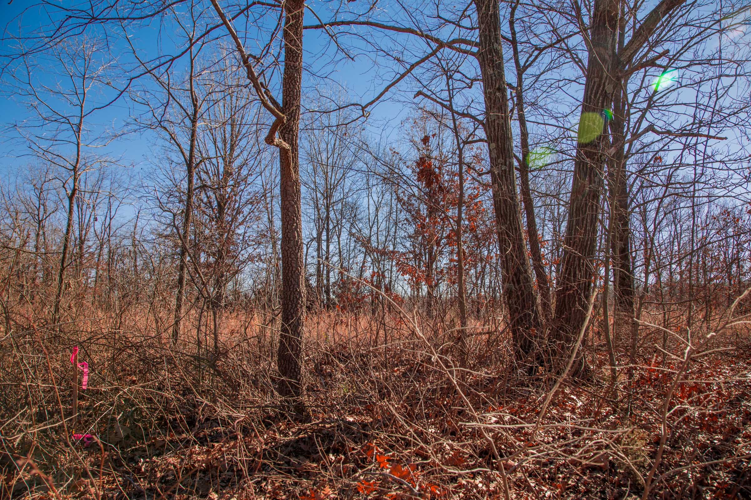 Buffalo Hills Tract 8 photo 10