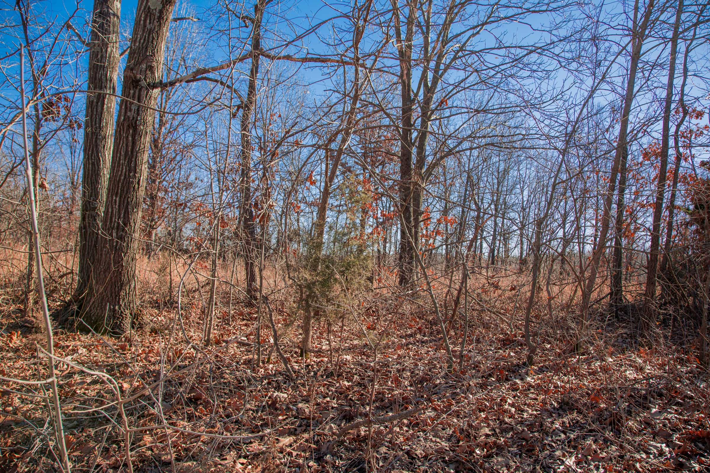 Buffalo Hills Tract 8 photo 11