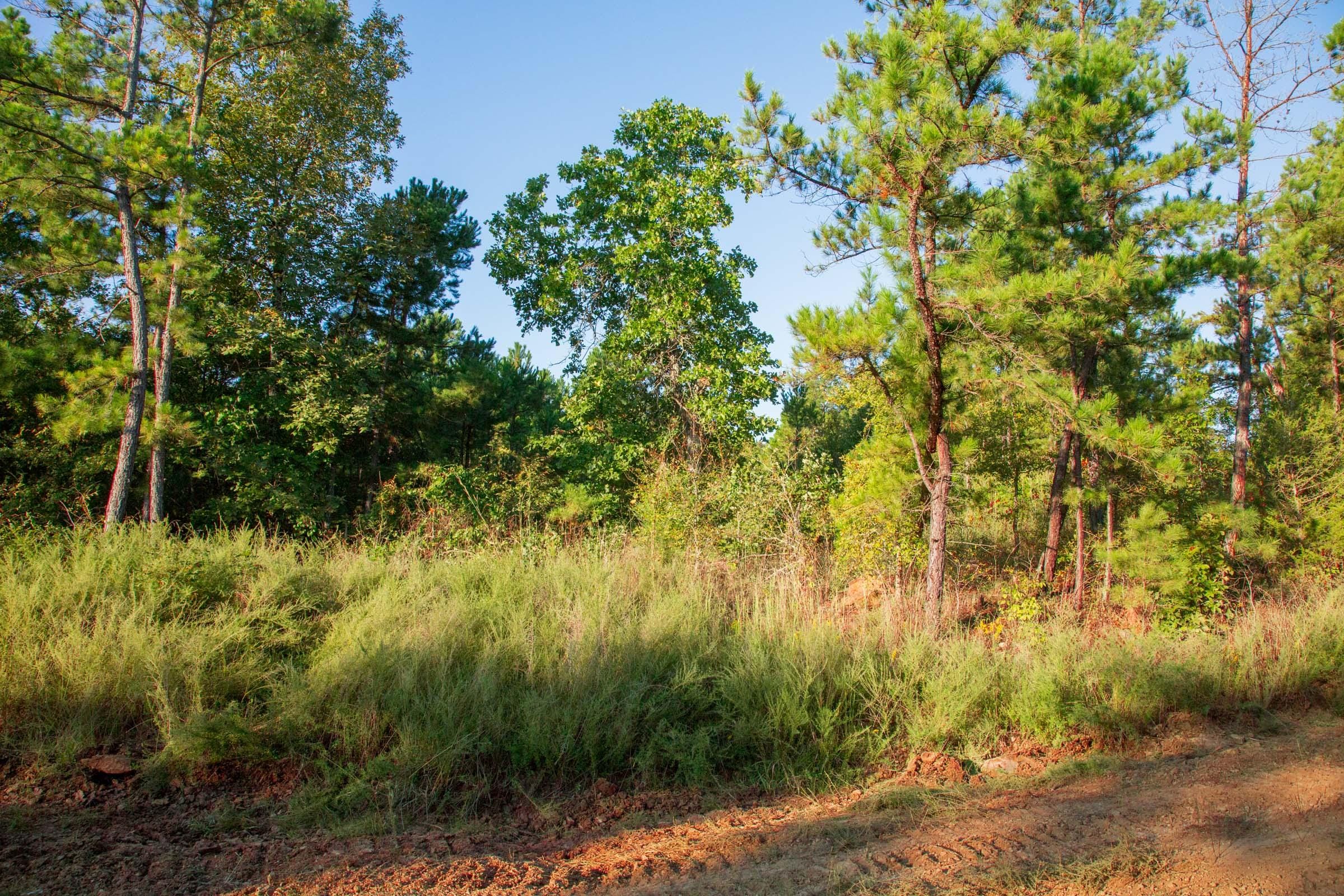 Stone Creek Phase II Tract 281 photo 2