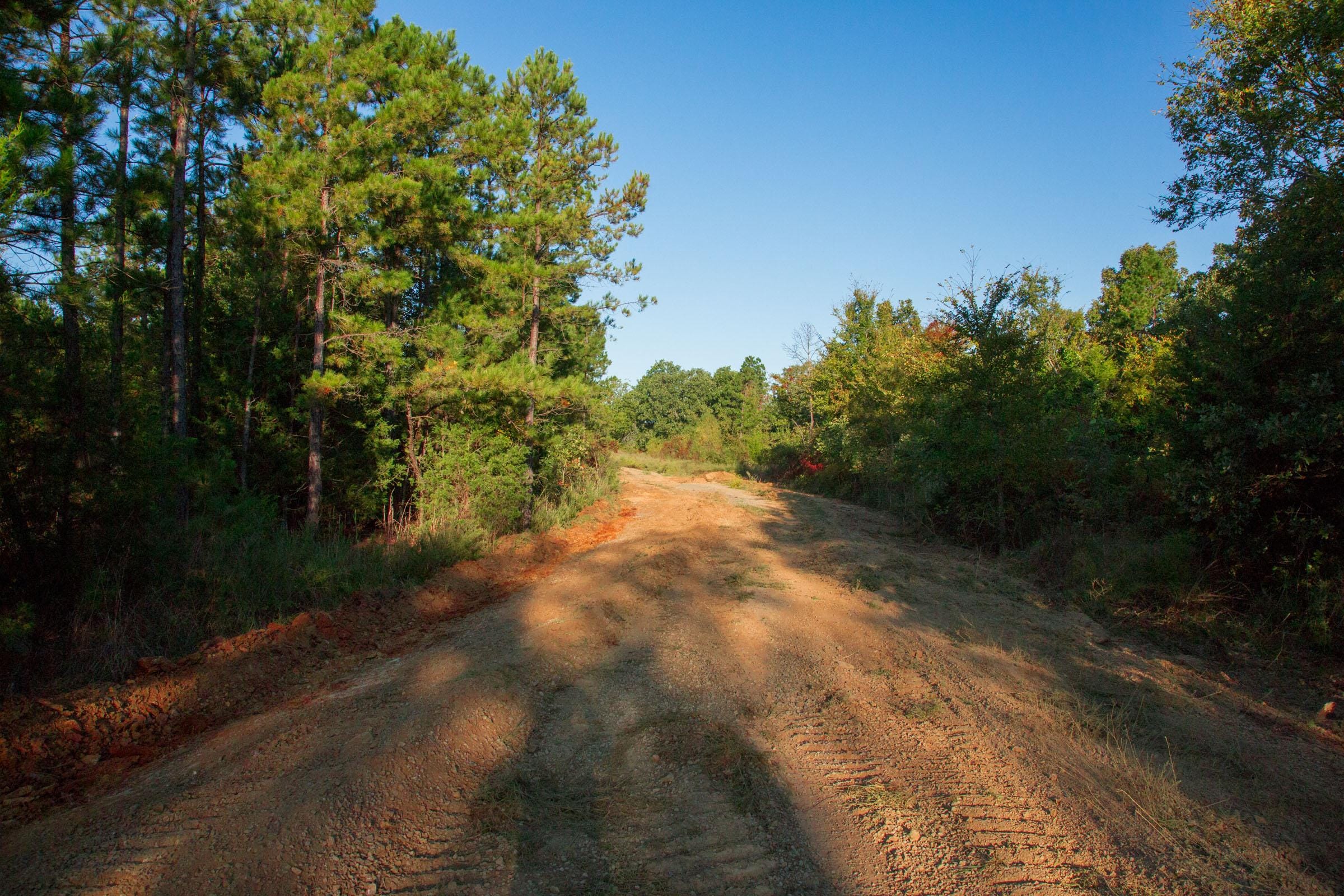 Stone Creek Phase II Tract 281 photo 4