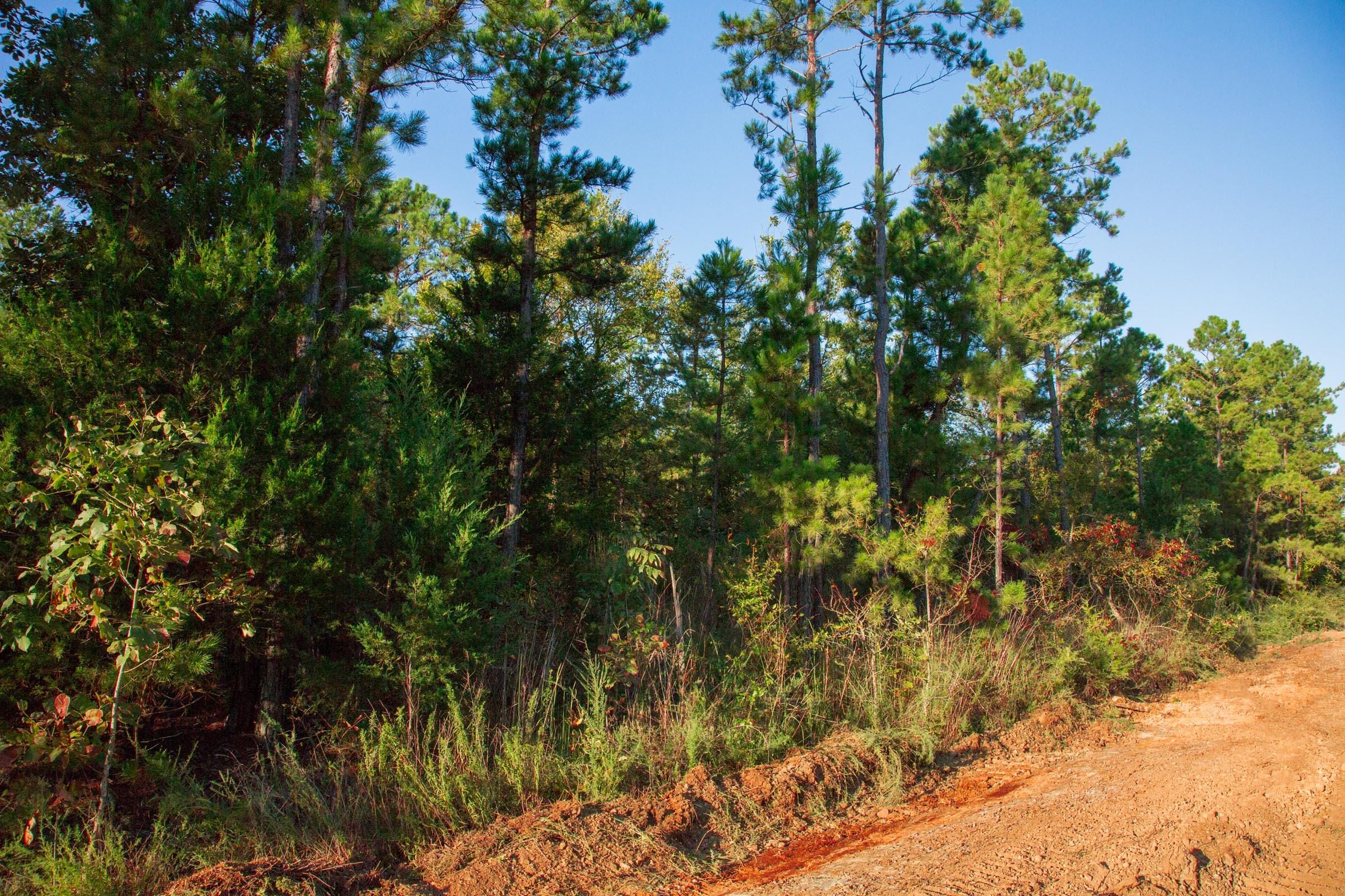 Stone Creek Phase II Tract 281 photo 5