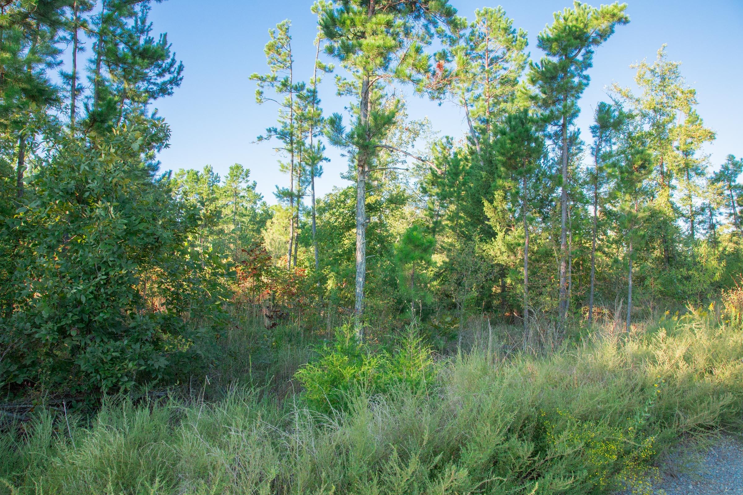 Stone Creek Phase II Tract 281 photo 6