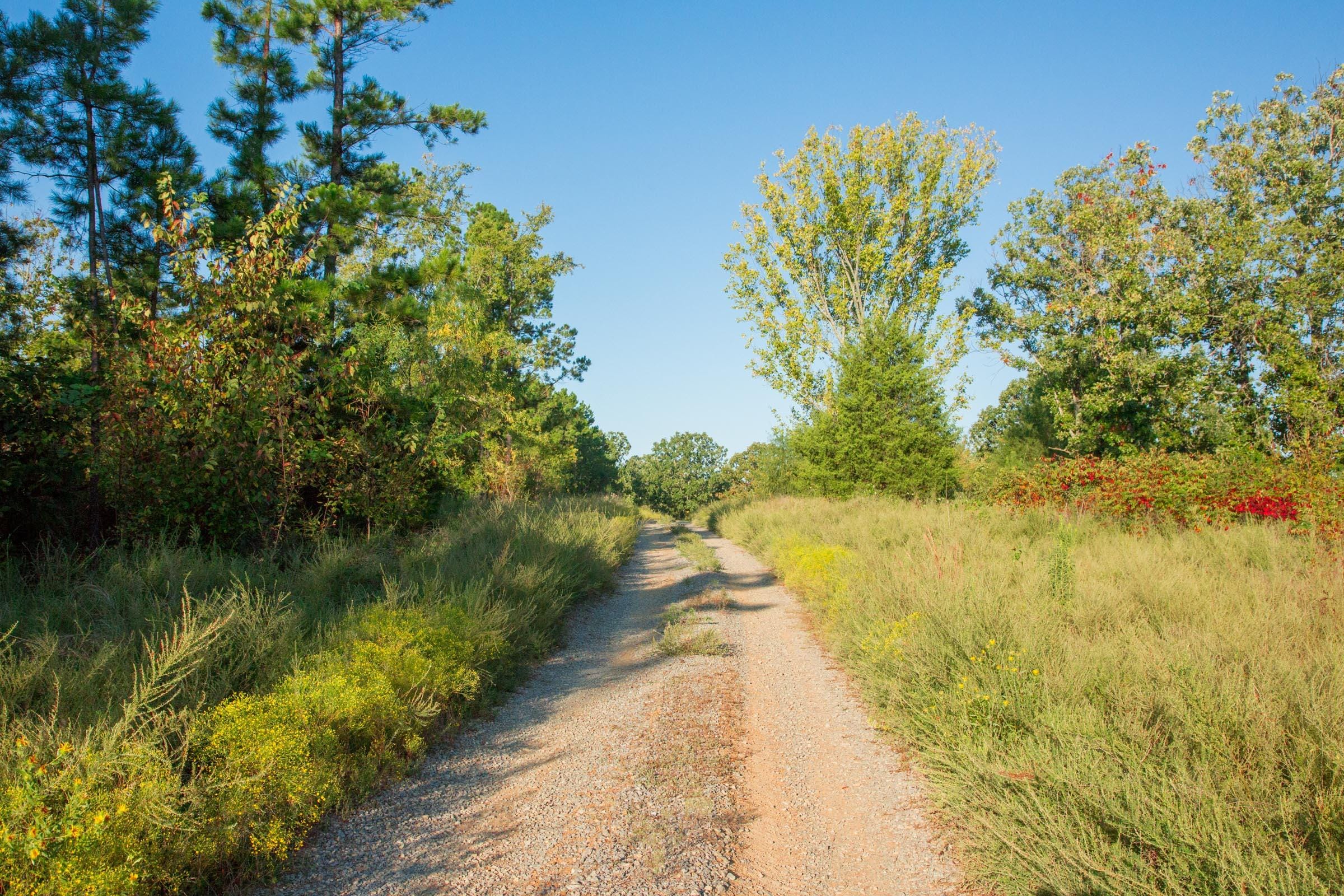 Stone Creek Phase II Tract 281 photo 7
