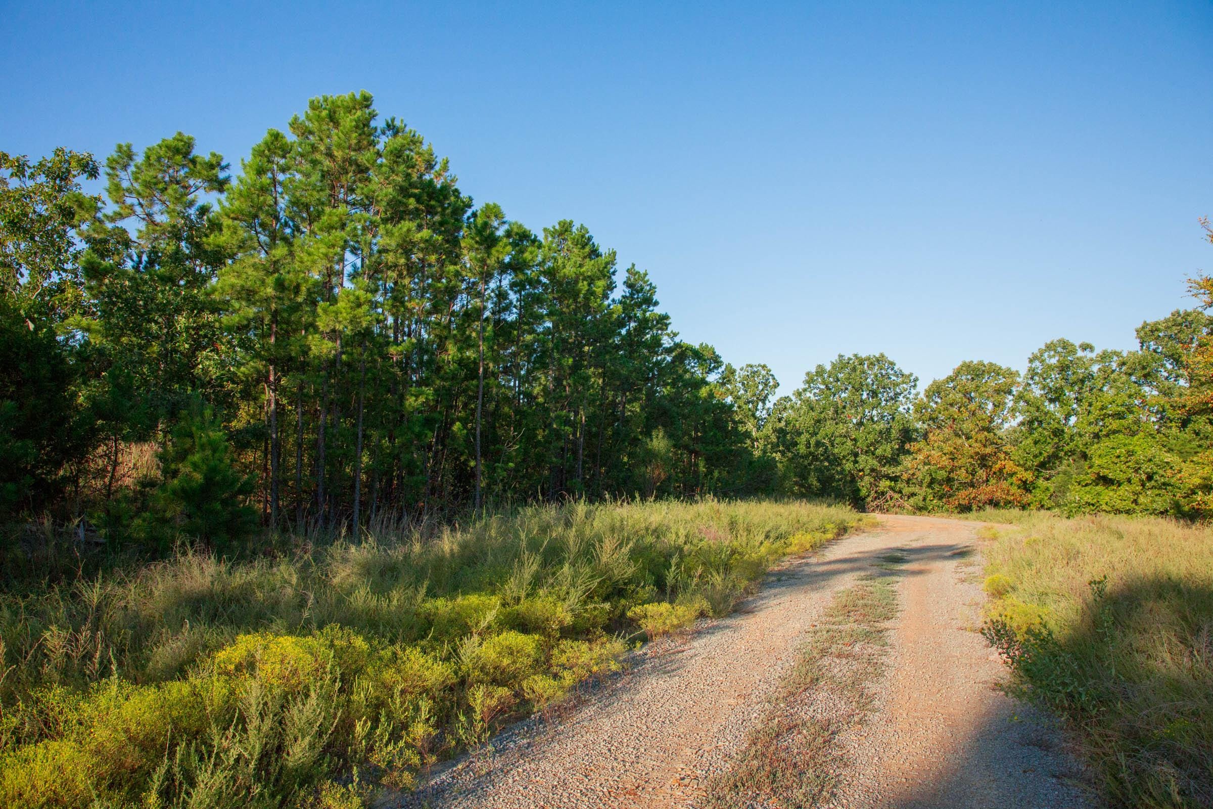 Stone Creek Phase II Tract 281 photo 9