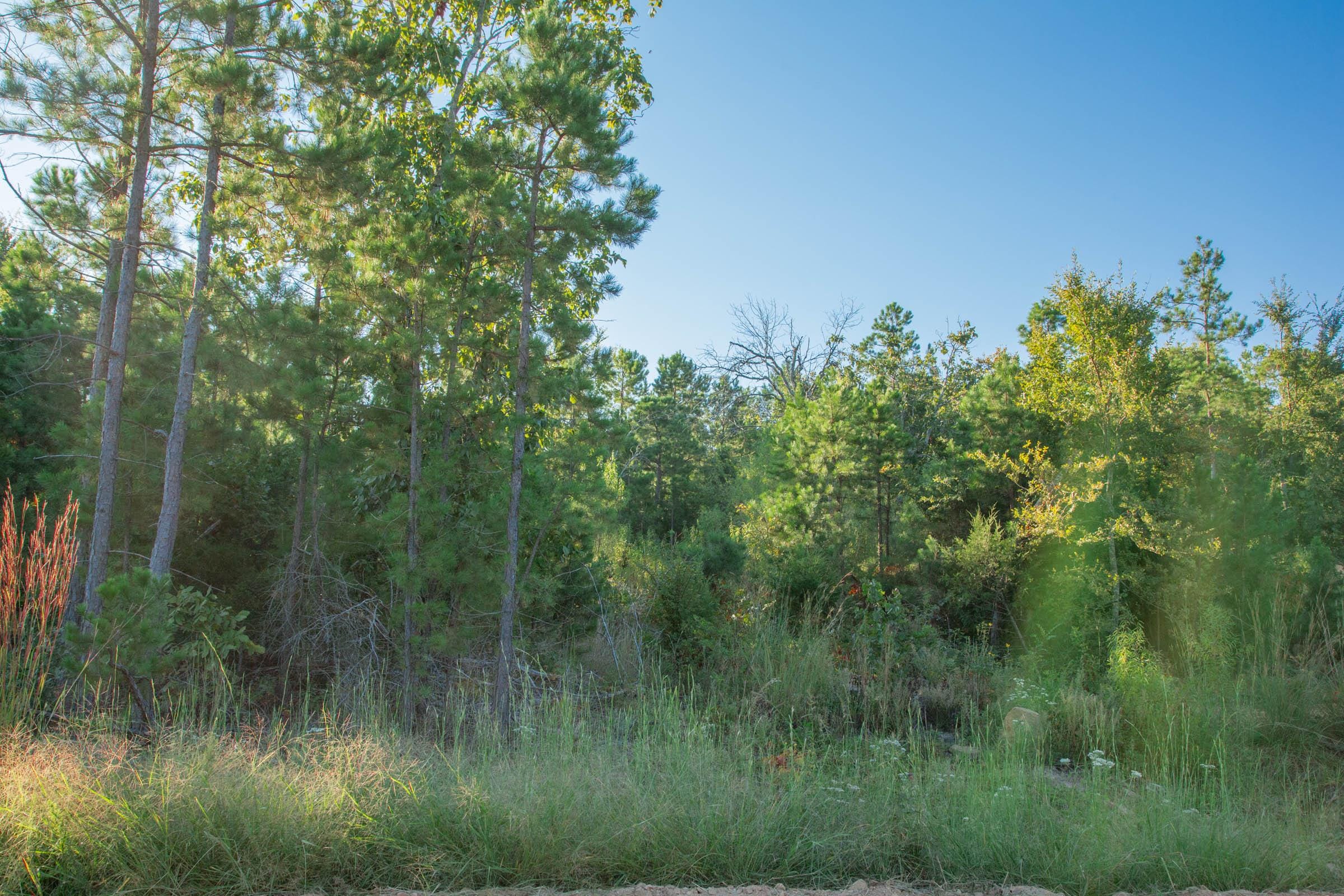 Stone Creek Phase II Tract 281 photo 12