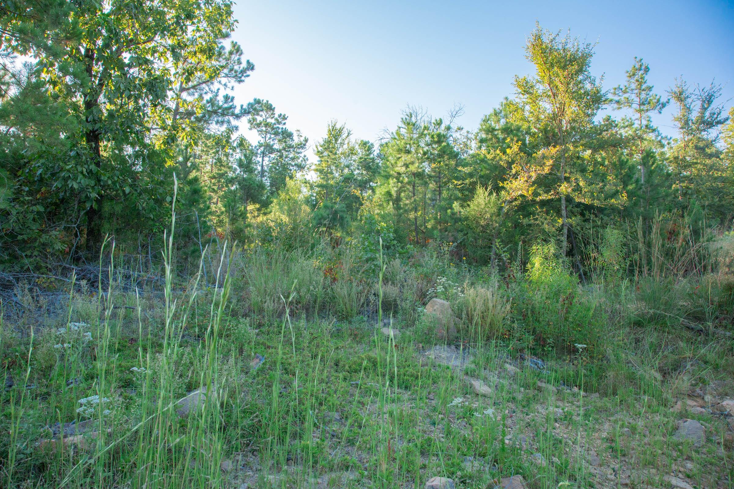 Stone Creek Phase II Tract 281 photo 13