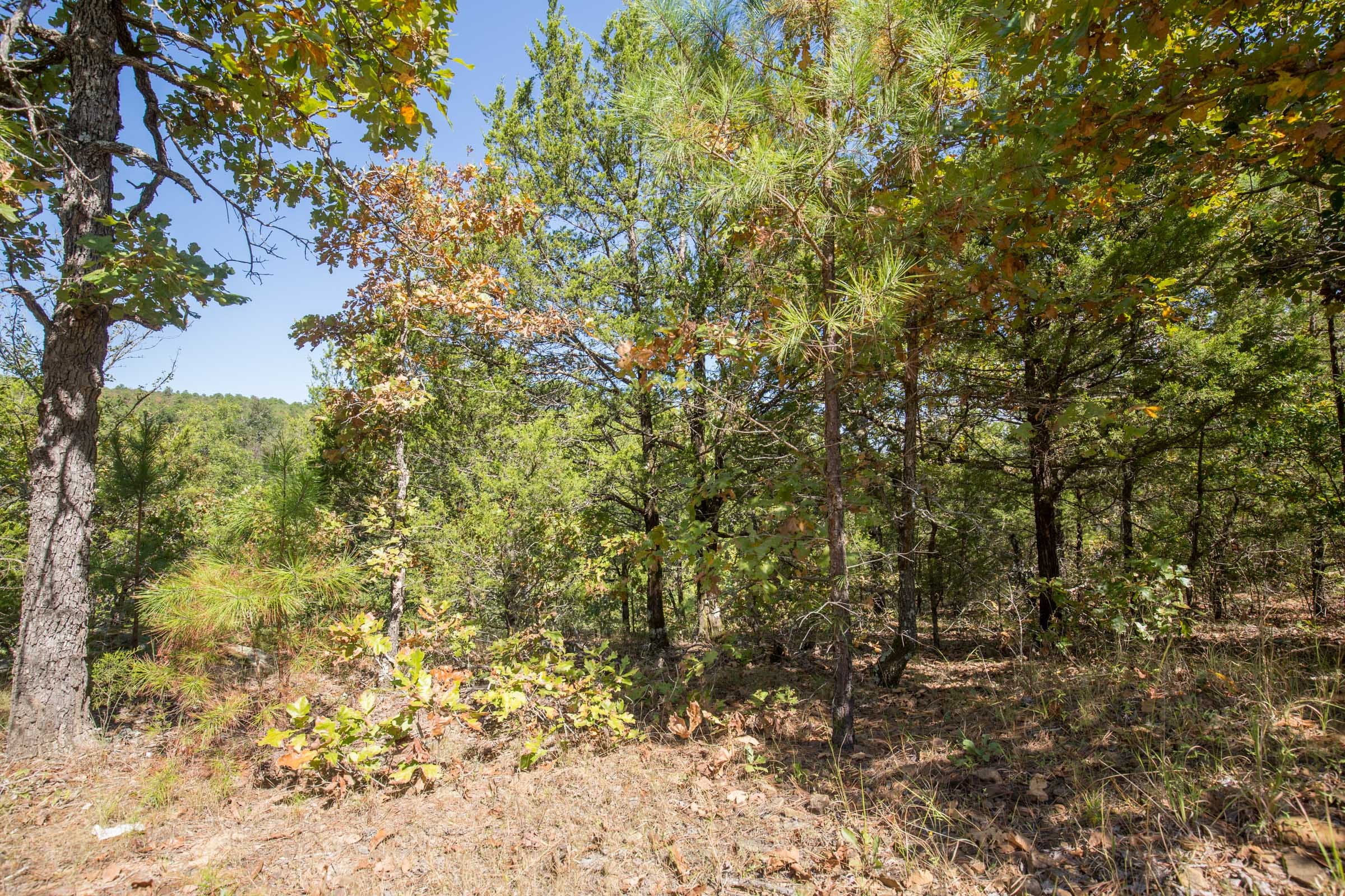 Stone Bridge Phase I Tract 20 photo 5