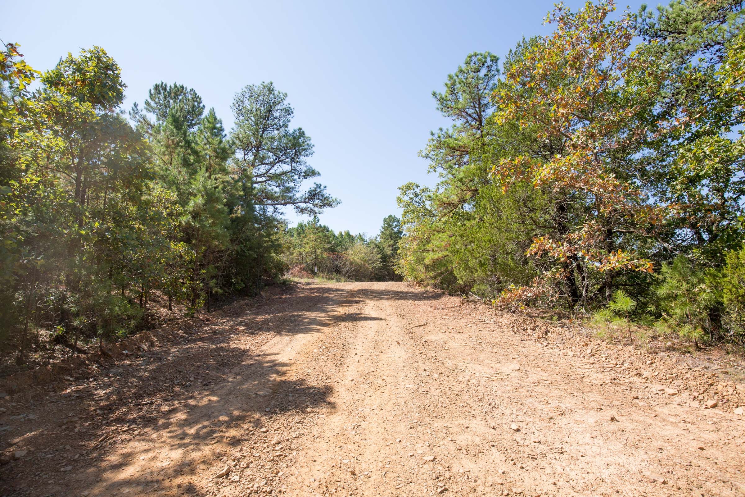 Stone Bridge Phase I Tract 20 photo 9