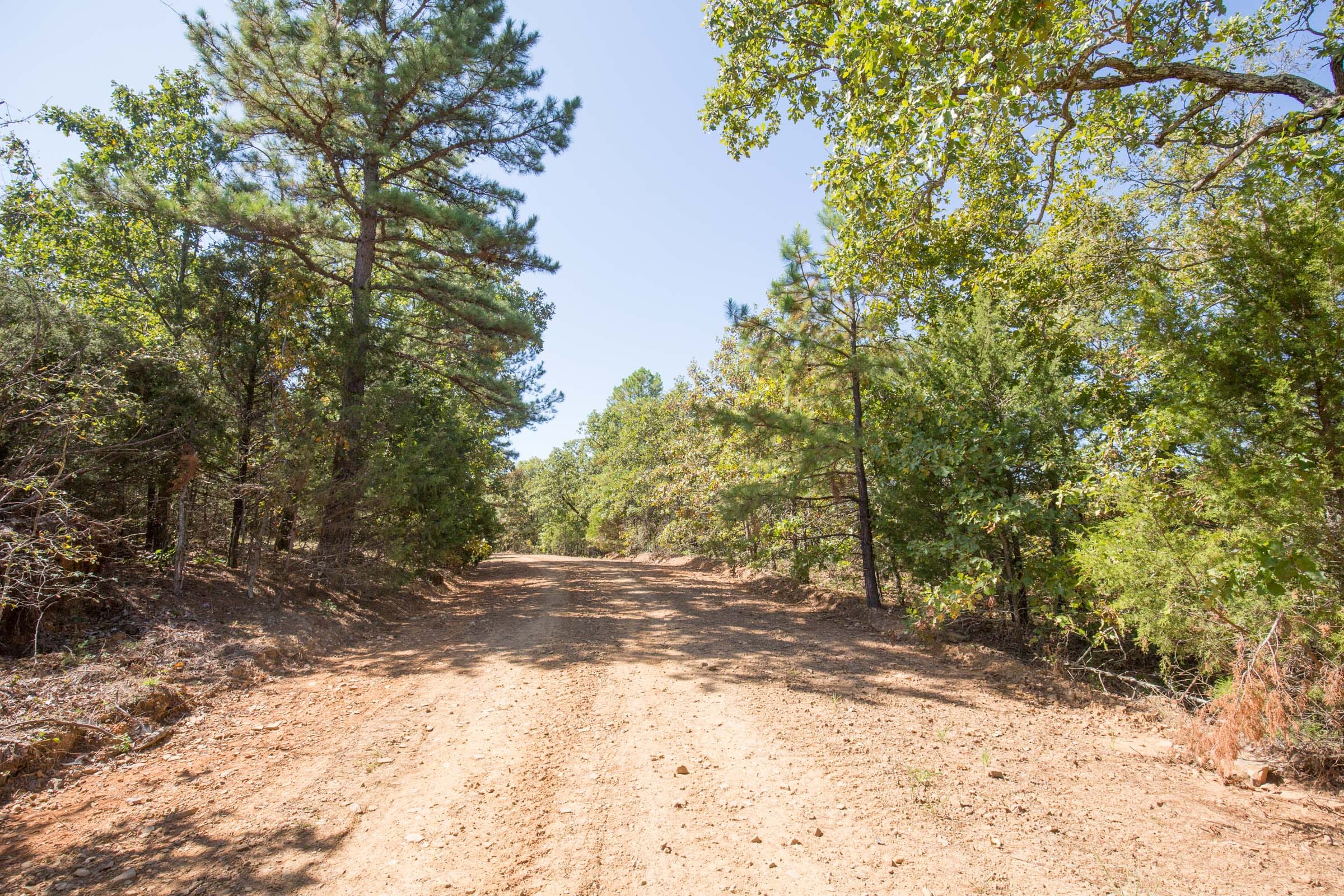 Stone Bridge Phase I Tract 20 photo 12