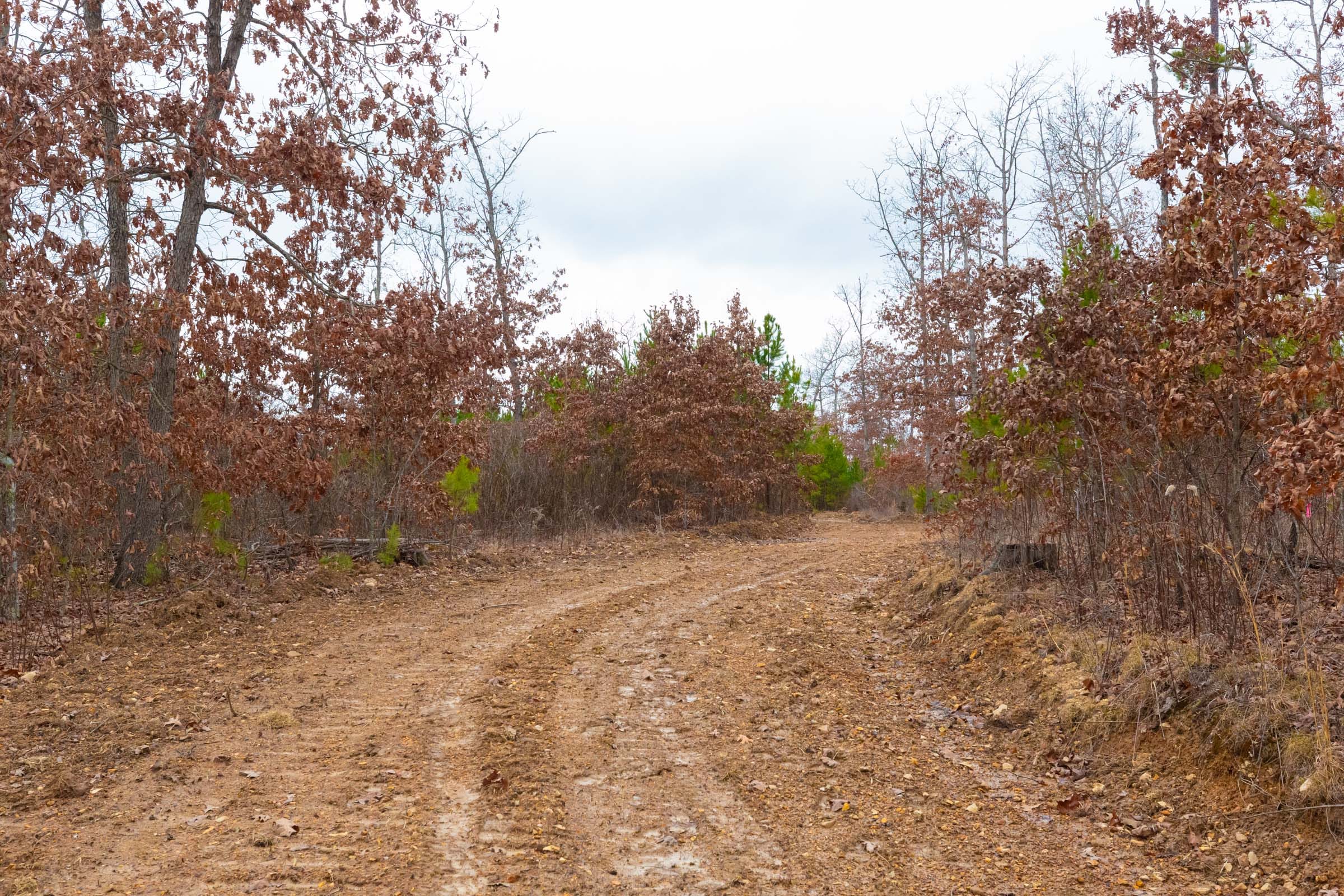 Windy Ridge Tract 13 photo 8
