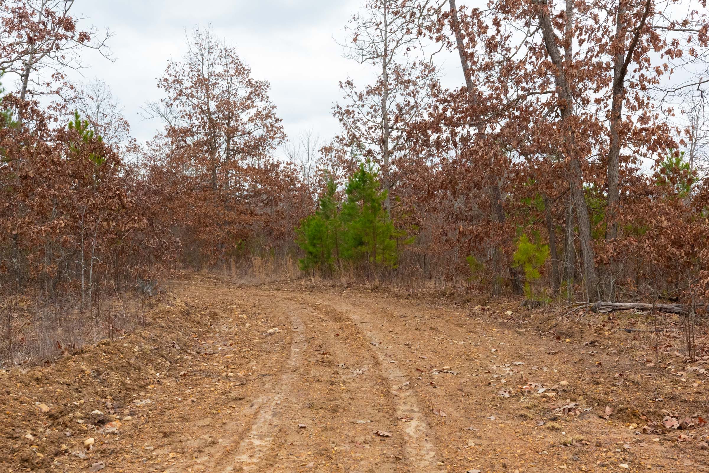 Windy Ridge Tract 13 photo 1