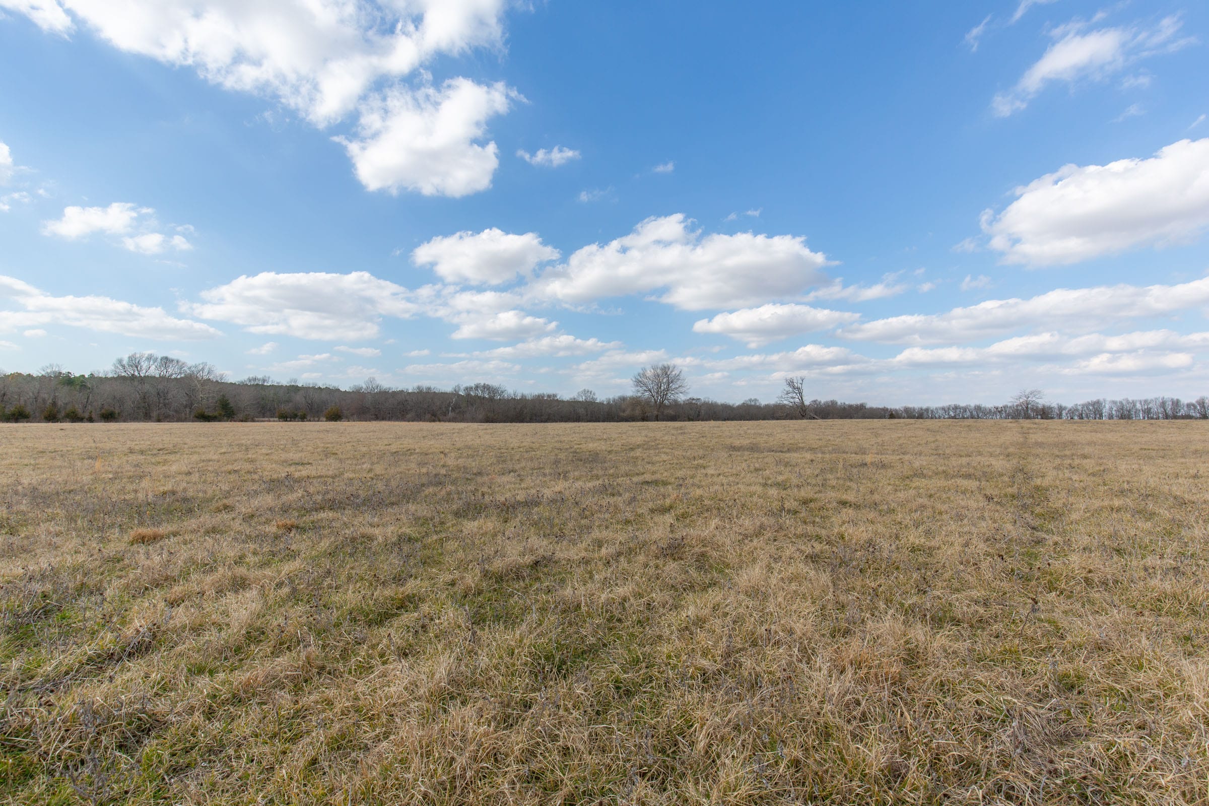 Wishing Star Ranch Tract 36 photo 2