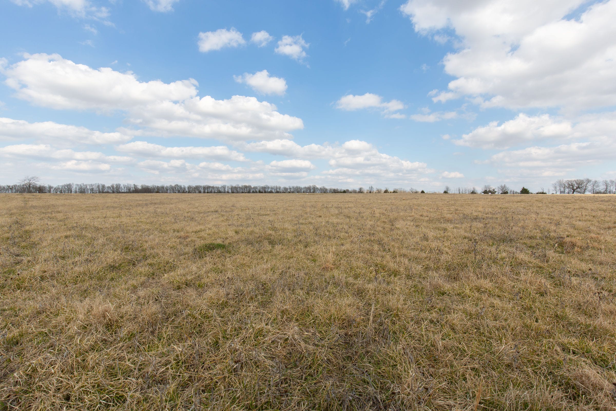 Wishing Star Ranch Tract 36 photo 3