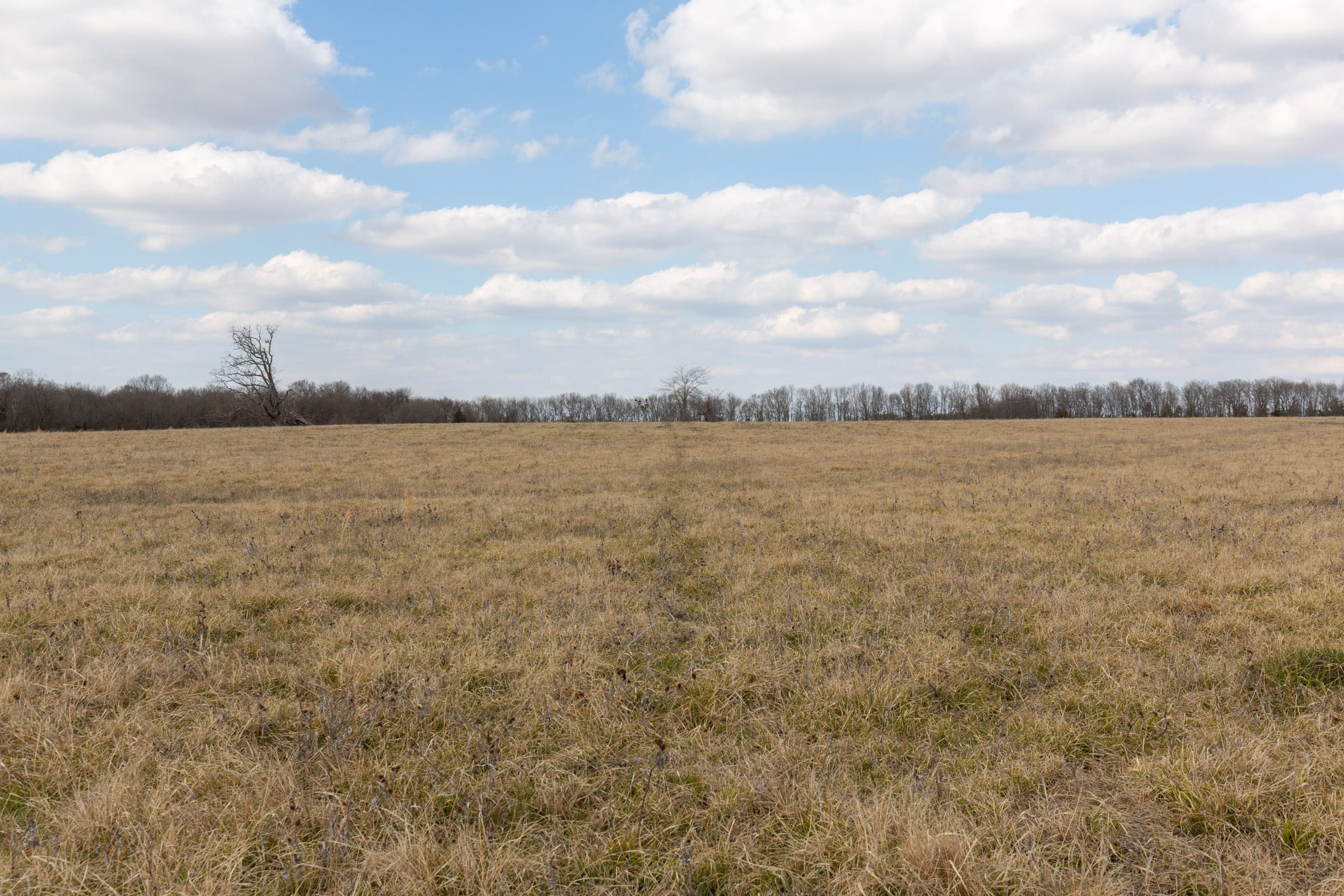 Wishing Star Ranch Tract 36 photo 4