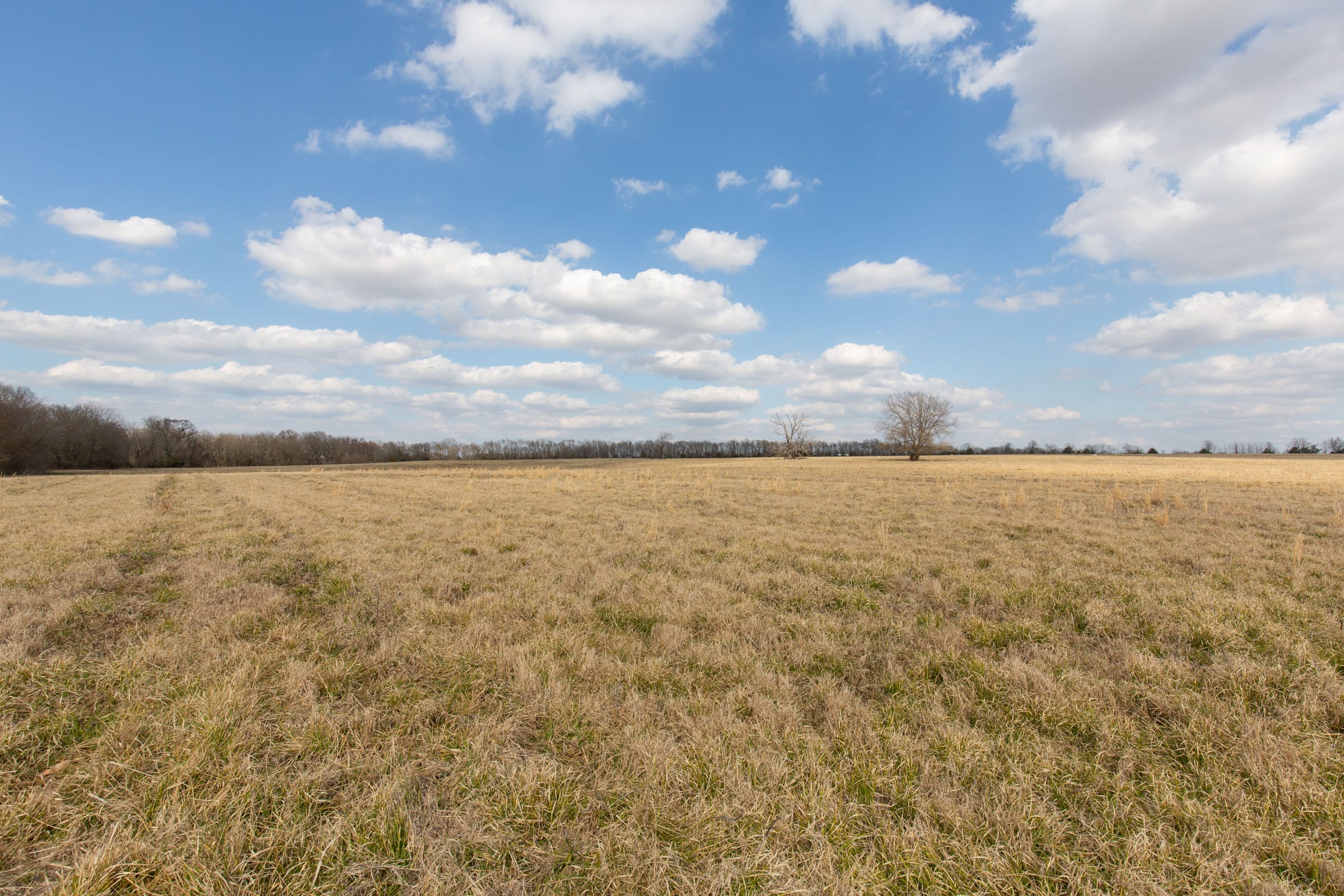 Wishing Star Ranch Tract 36 photo 7