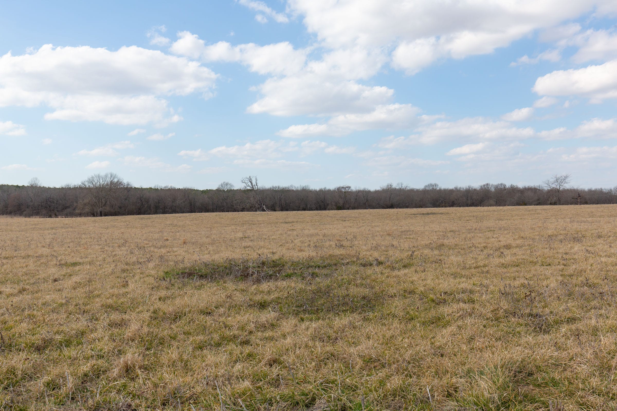 Wishing Star Ranch Tract 36 photo 10