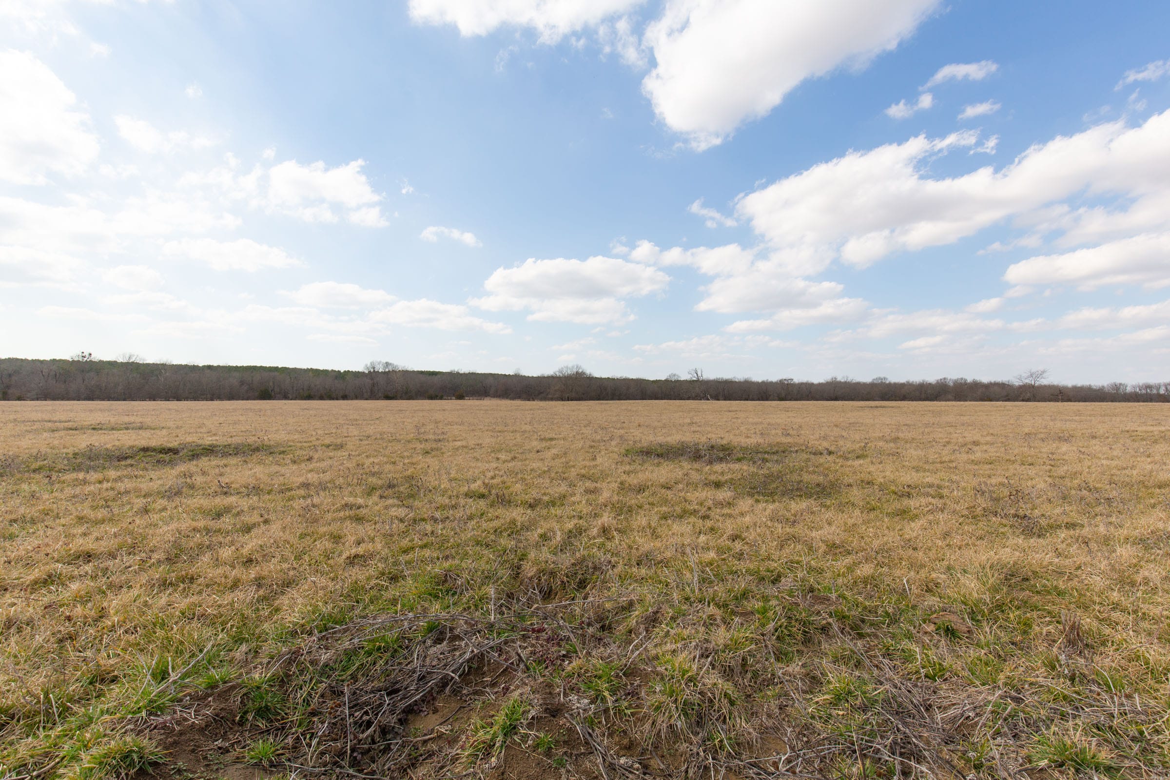 Wishing Star Ranch Tract 36 photo 11