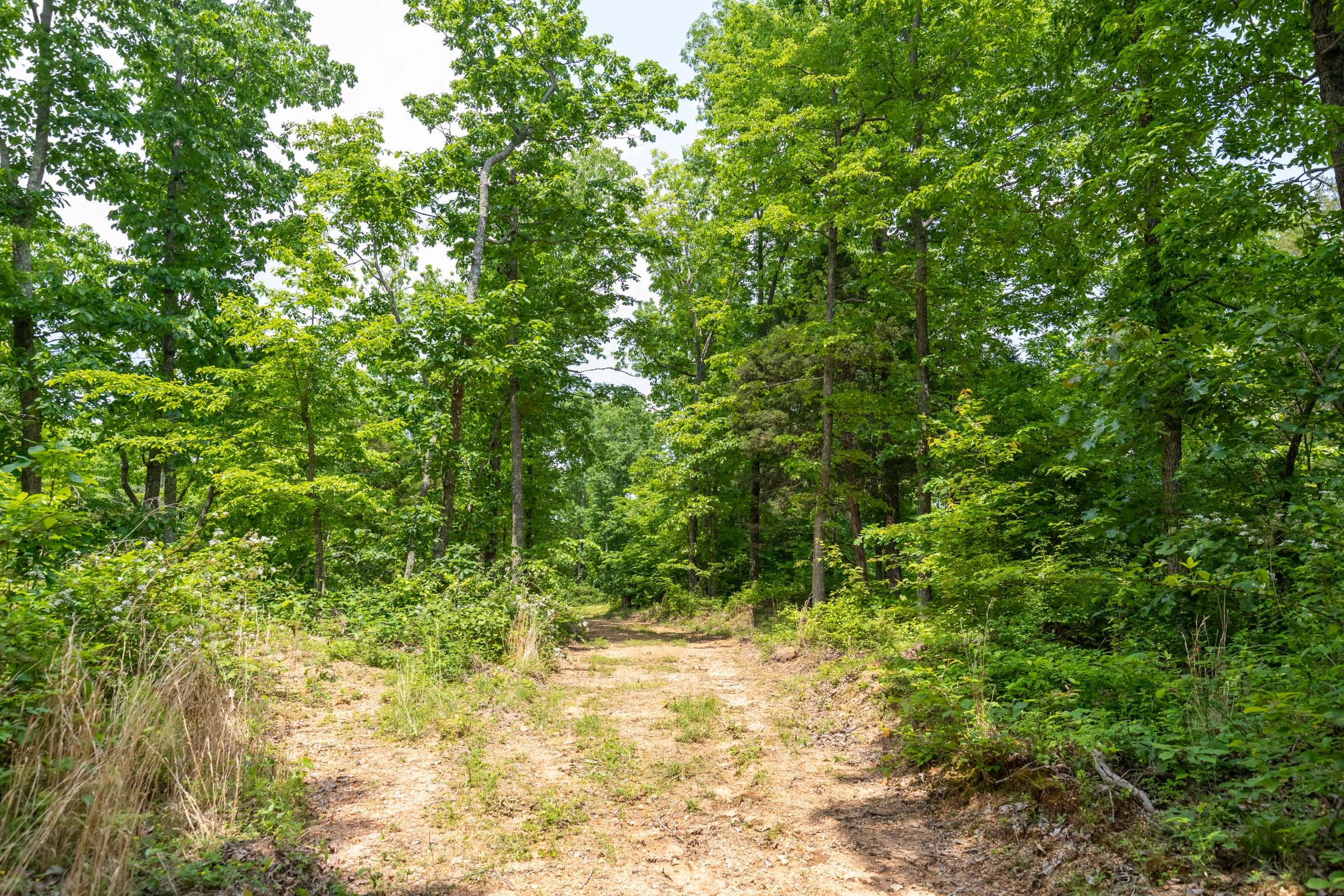 Cedar Creek Tract 11 photo 1