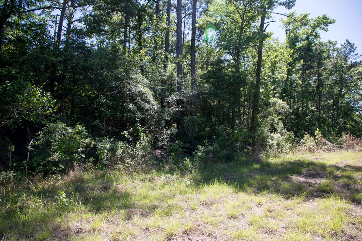 Rayburn Country Tract 284 photo 3