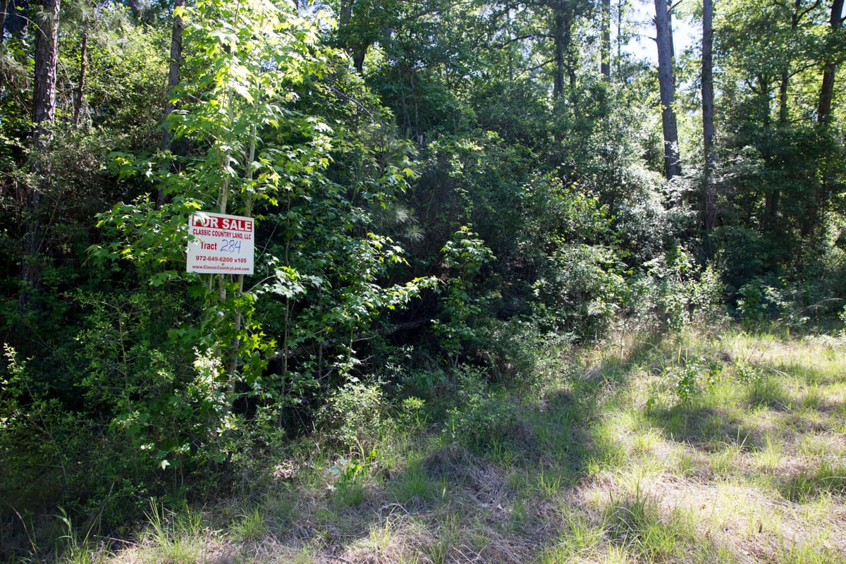 Rayburn Country Tract 284 photo 4