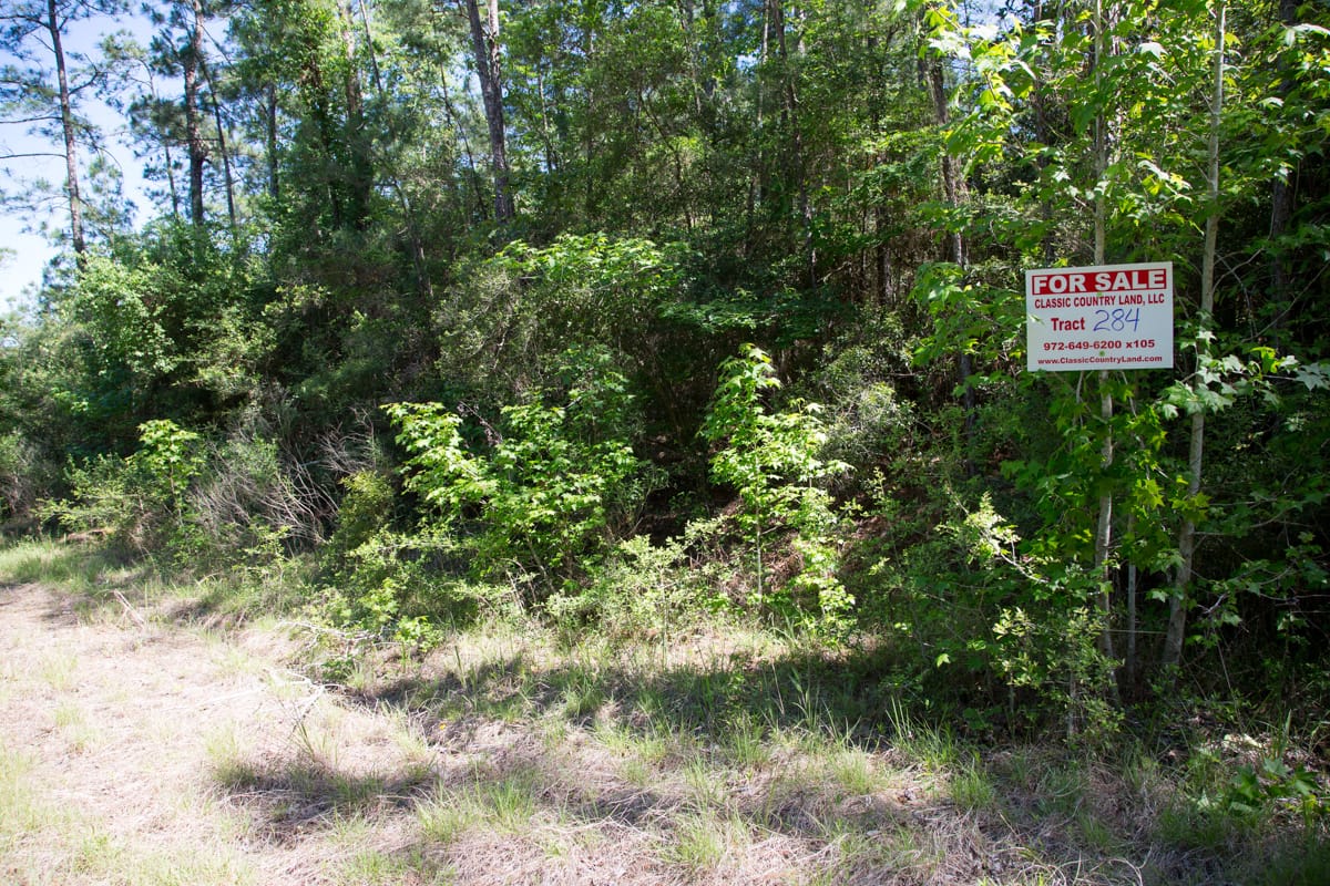 Rayburn Country Tract 284 photo 7
