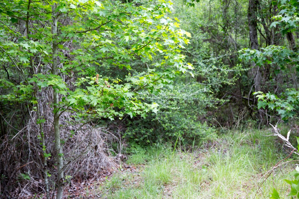 Rayburn Country Tract 284 photo 8