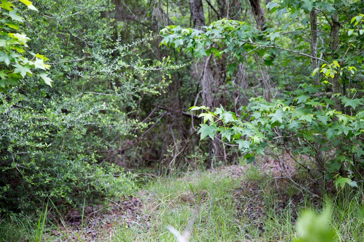 Rayburn Country Tract 284 photo 9