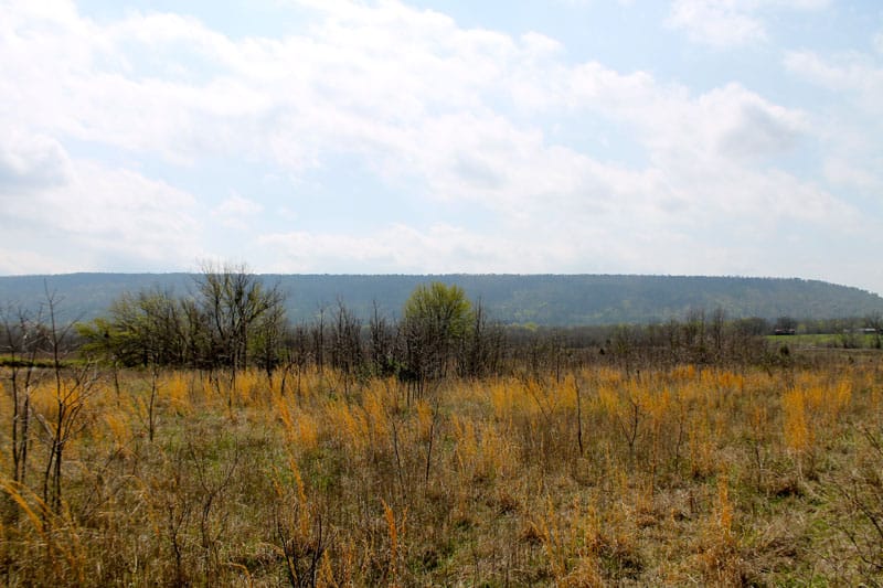 Daisy Meadows Tract 8 photo 3