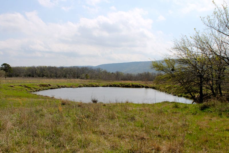 Daisy Meadows Tract 8 photo 6