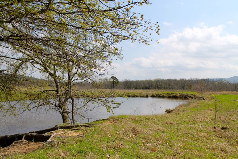 Daisy Meadows Tract 8 photo 7