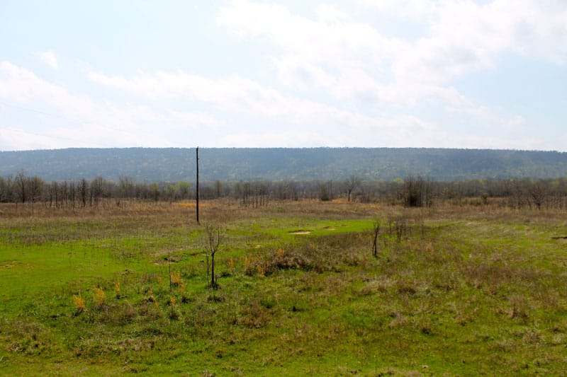 Daisy Meadows Tract 8 photo 8