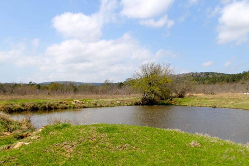 Daisy Meadows Tract 8 photo 9