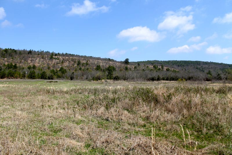 Daisy Meadows Tract 8 photo 11