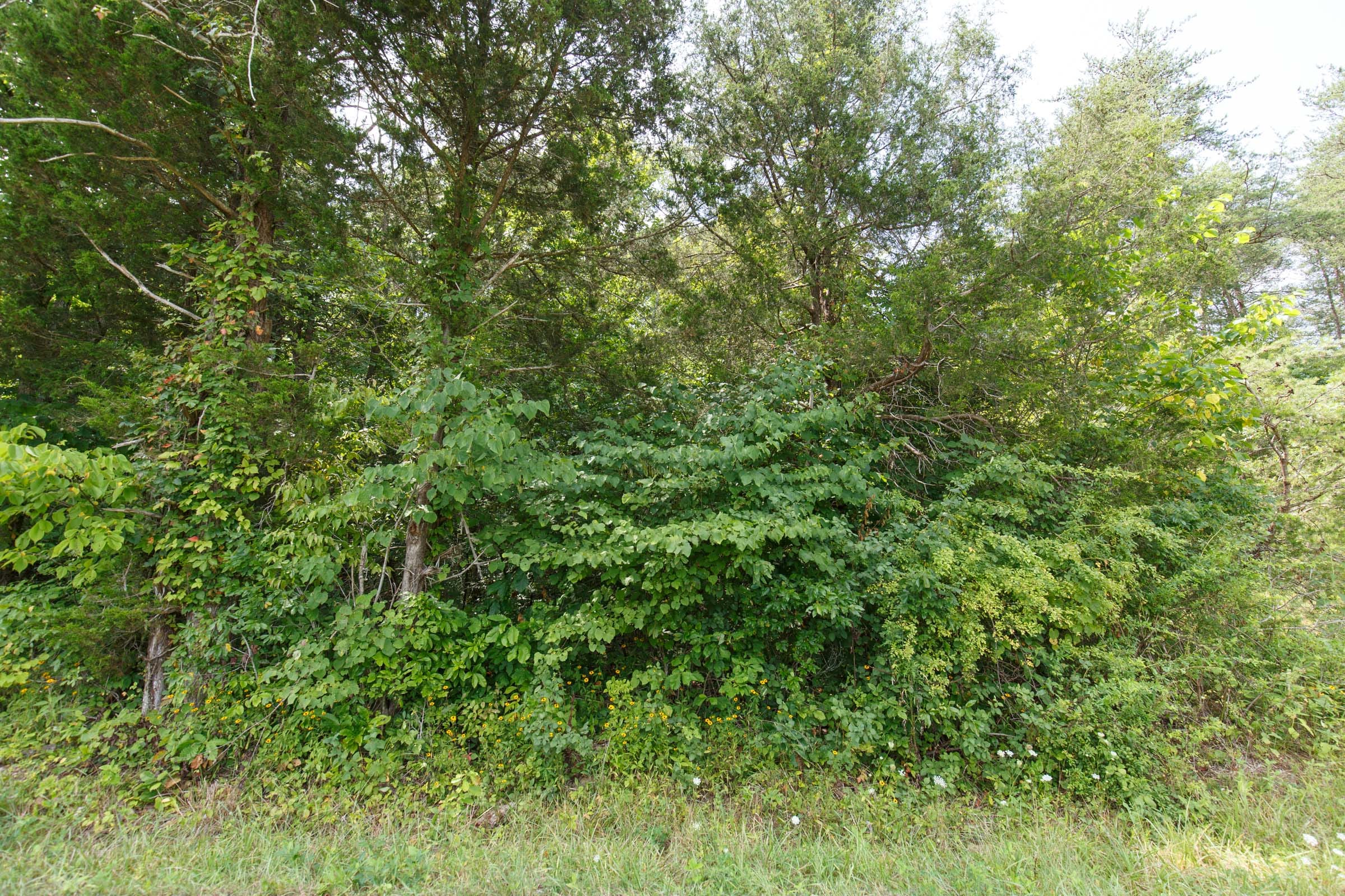 Rolling Hills Tract 1 photo 3