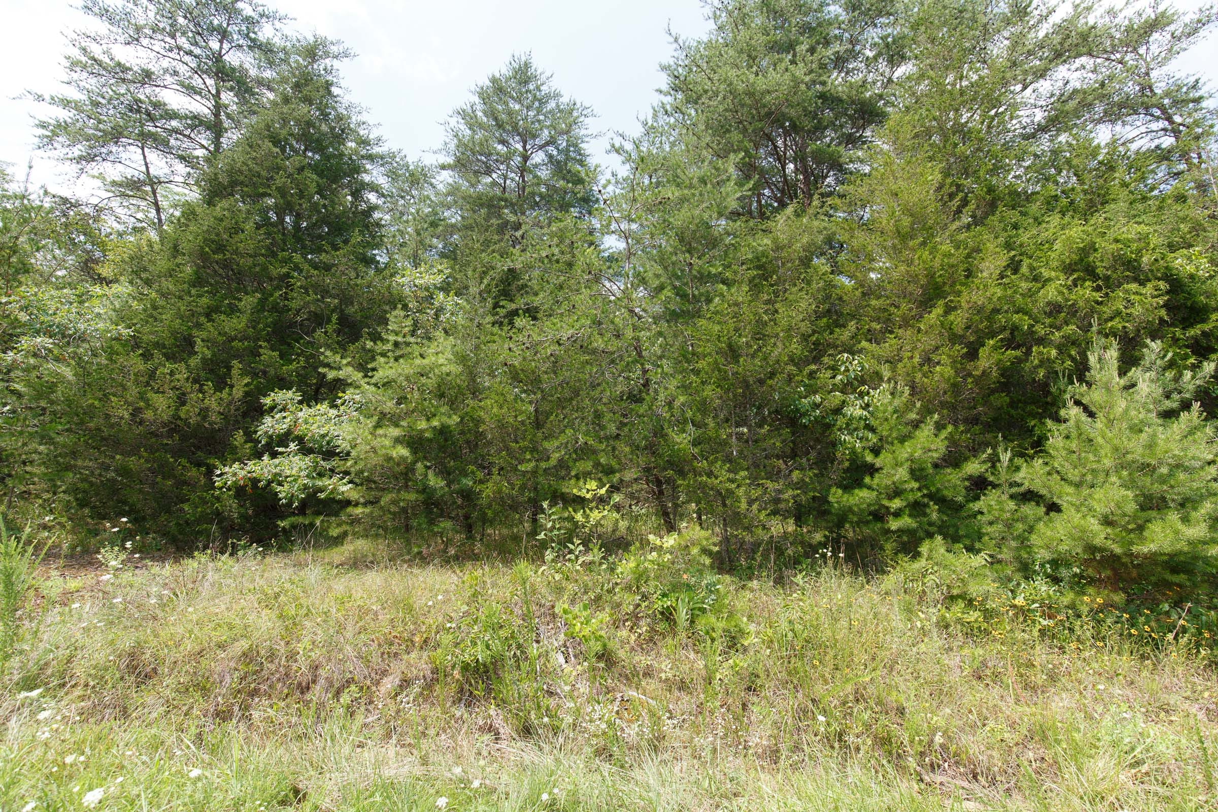 Rolling Hills Tract 1 photo 5