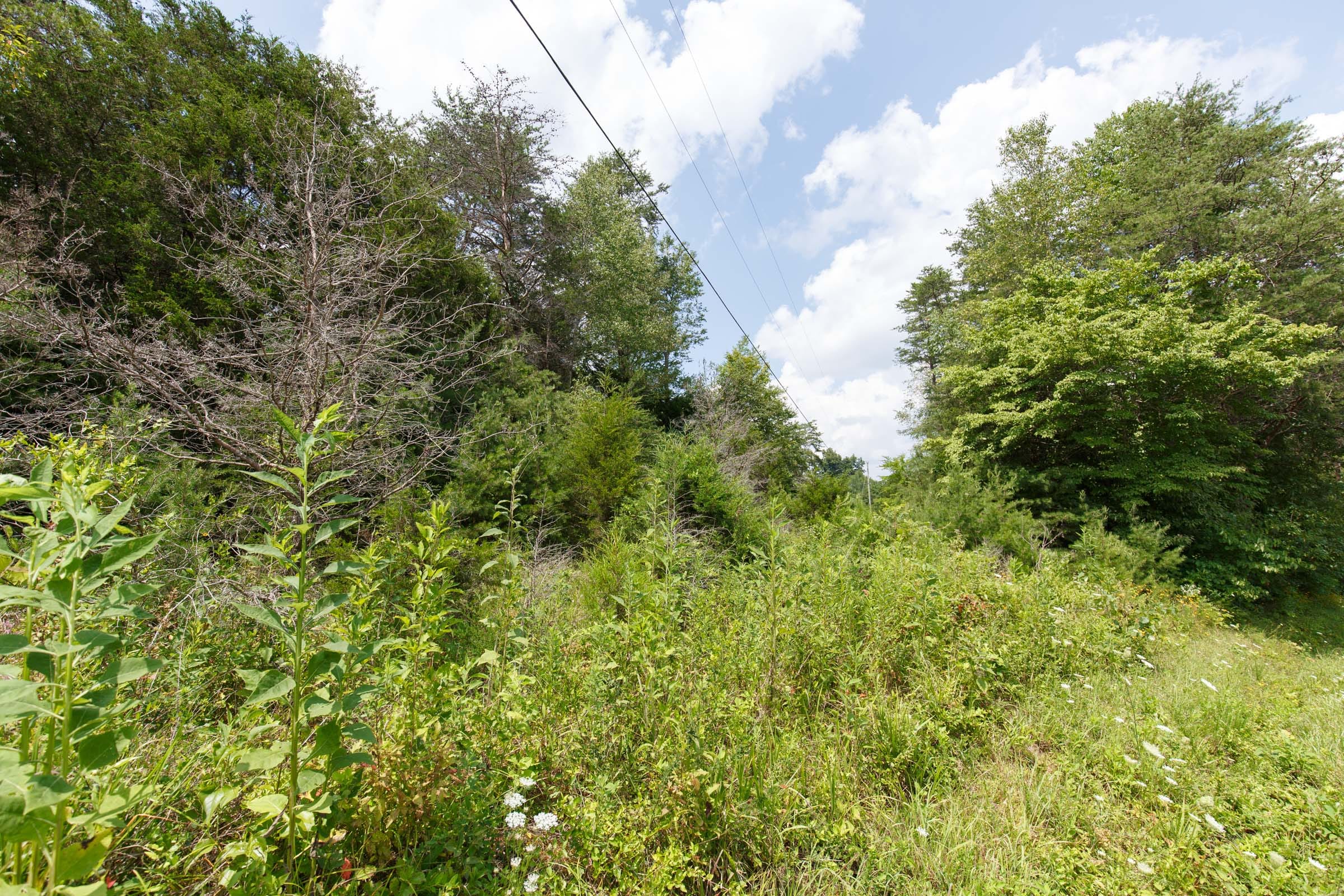 Rolling Hills Tract 1 photo 7