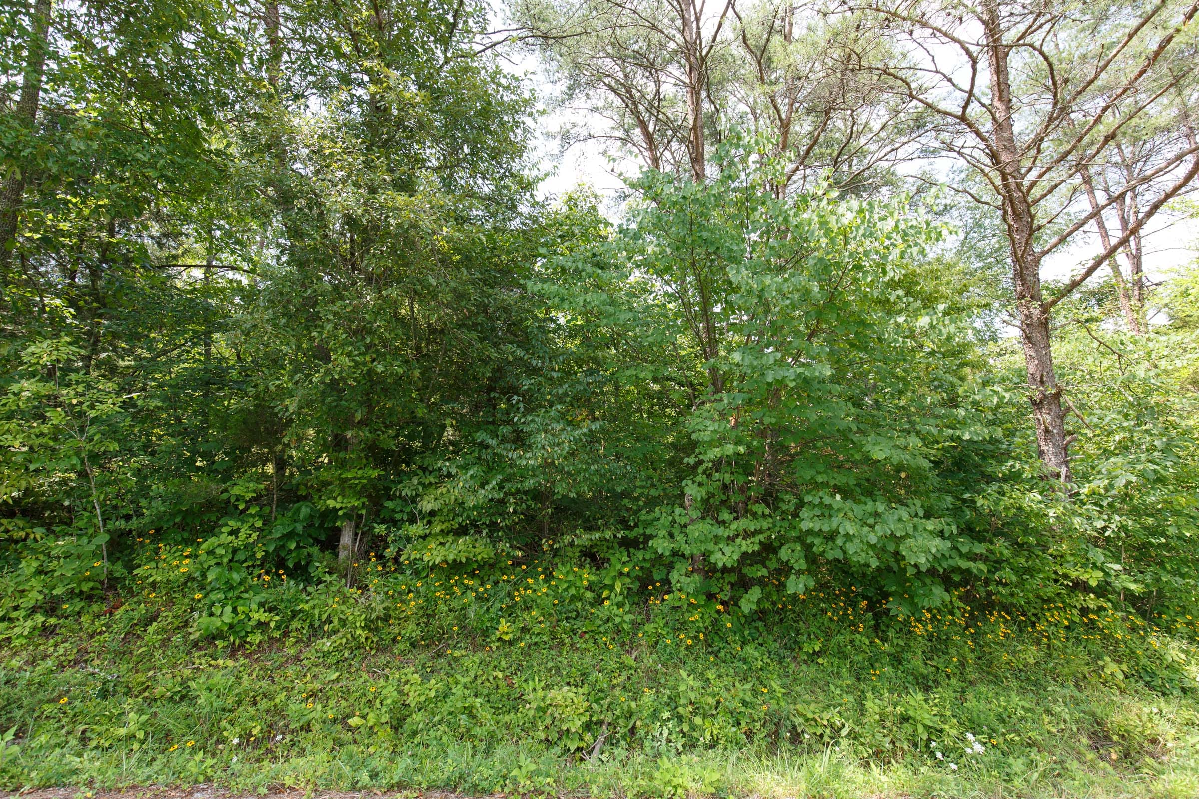 Rolling Hills Tract 1 photo 9