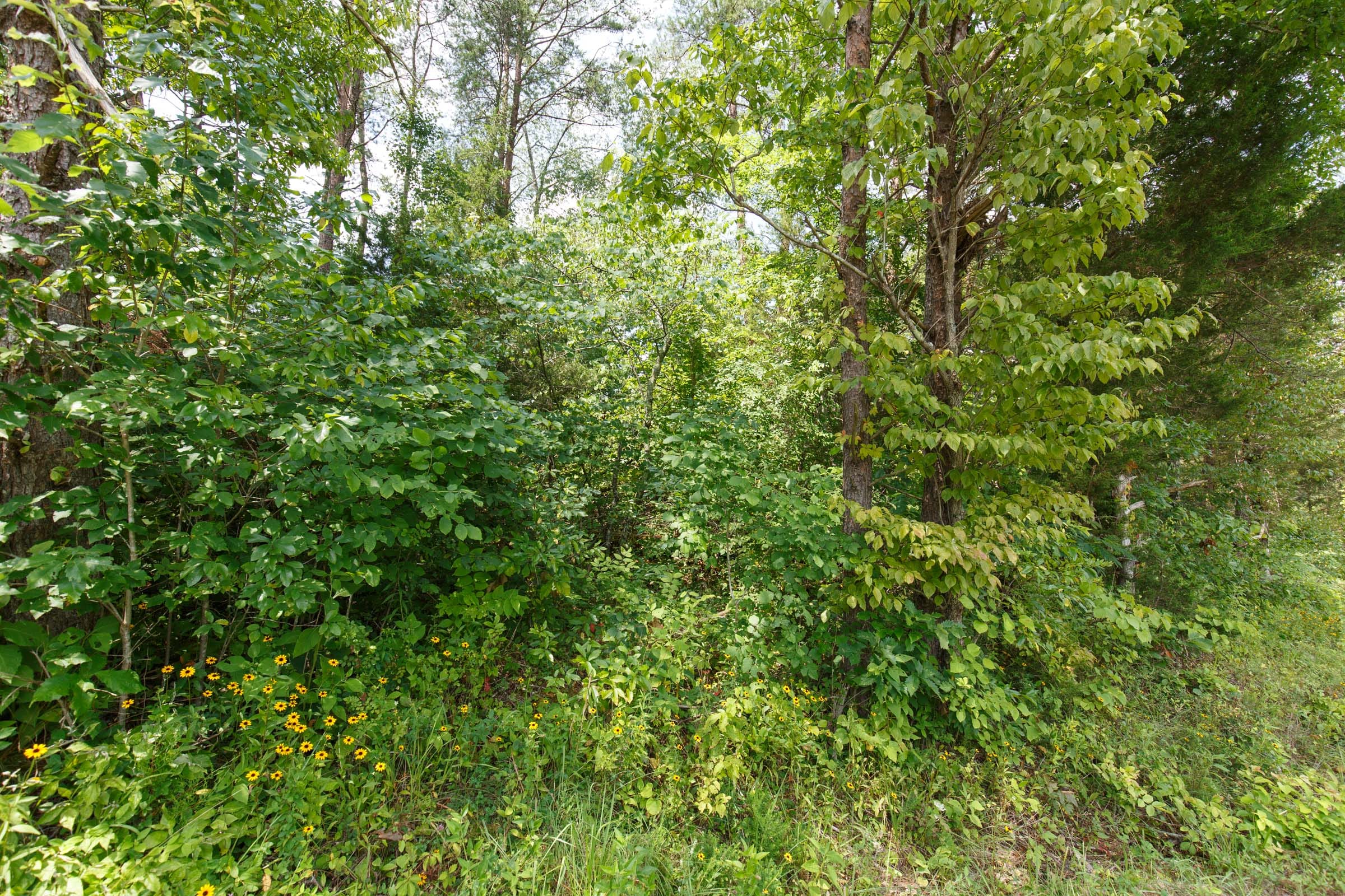 Rolling Hills Tract 1 photo 11
